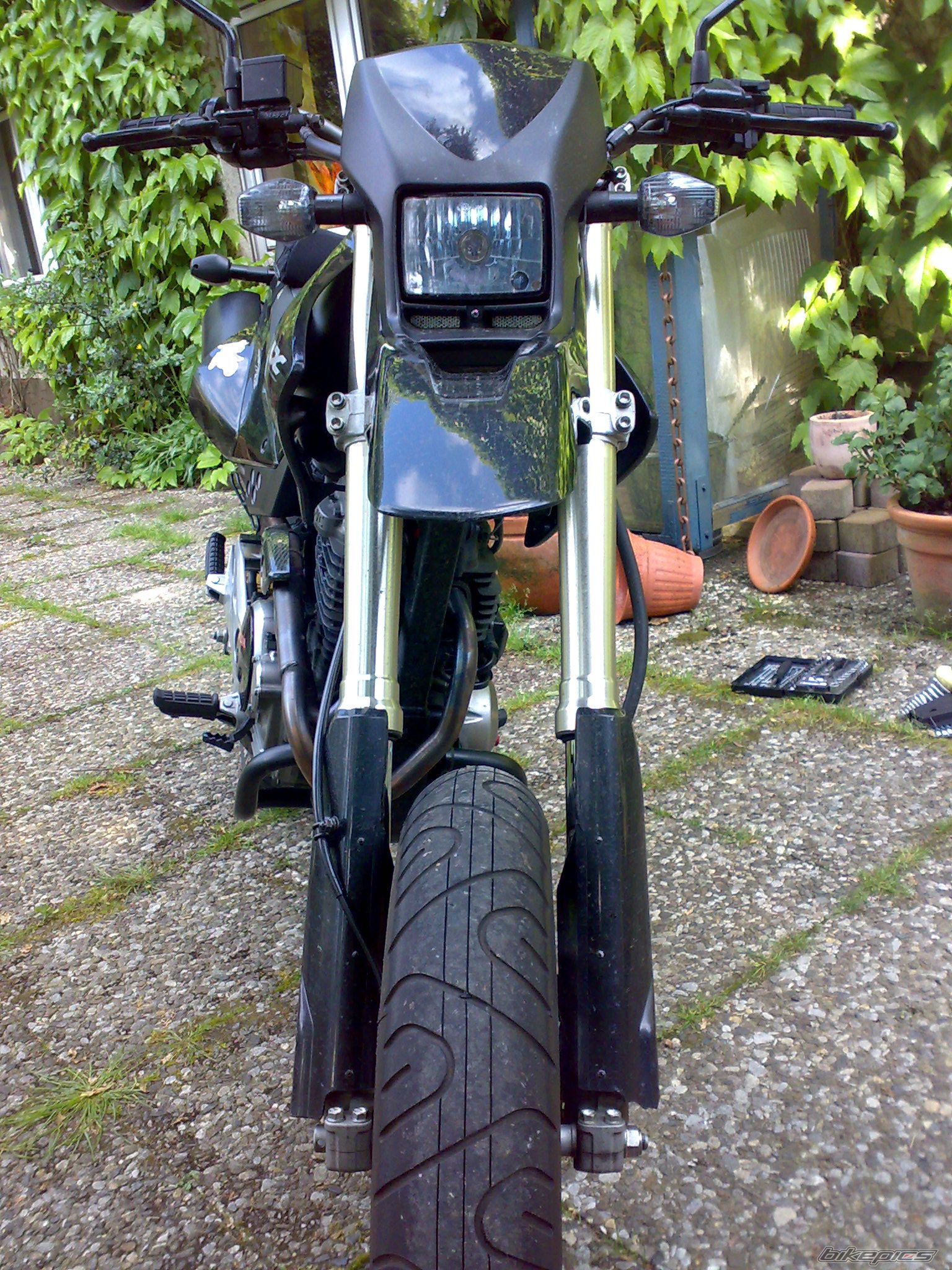 Photo 1316303