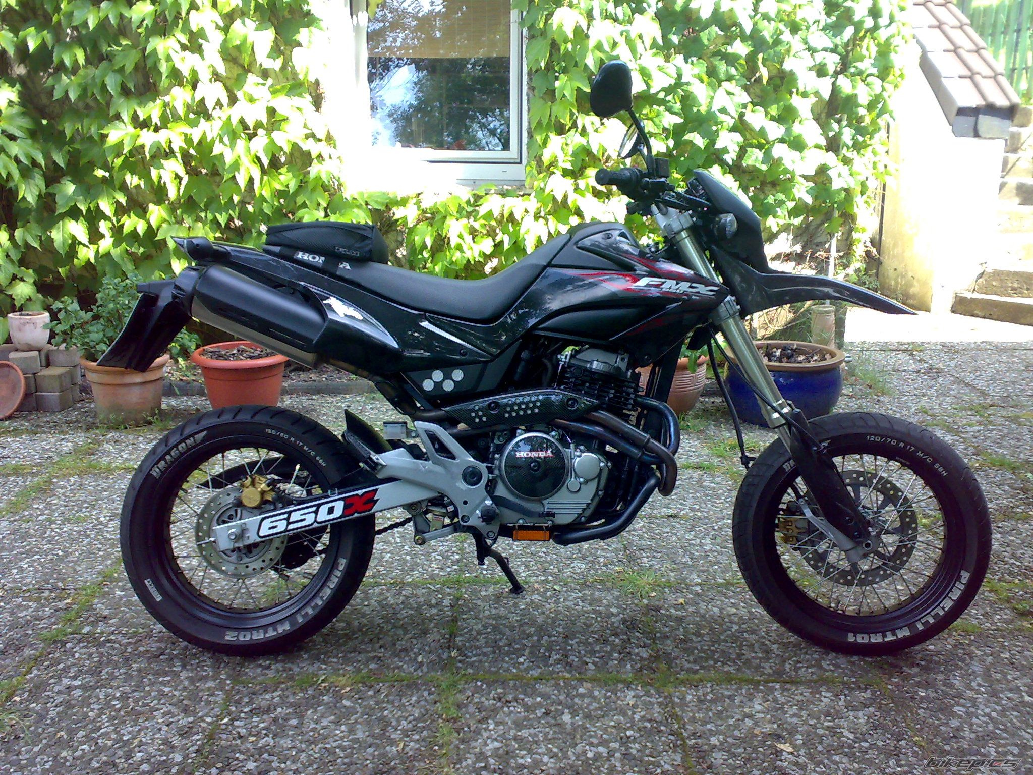Photo 1316305