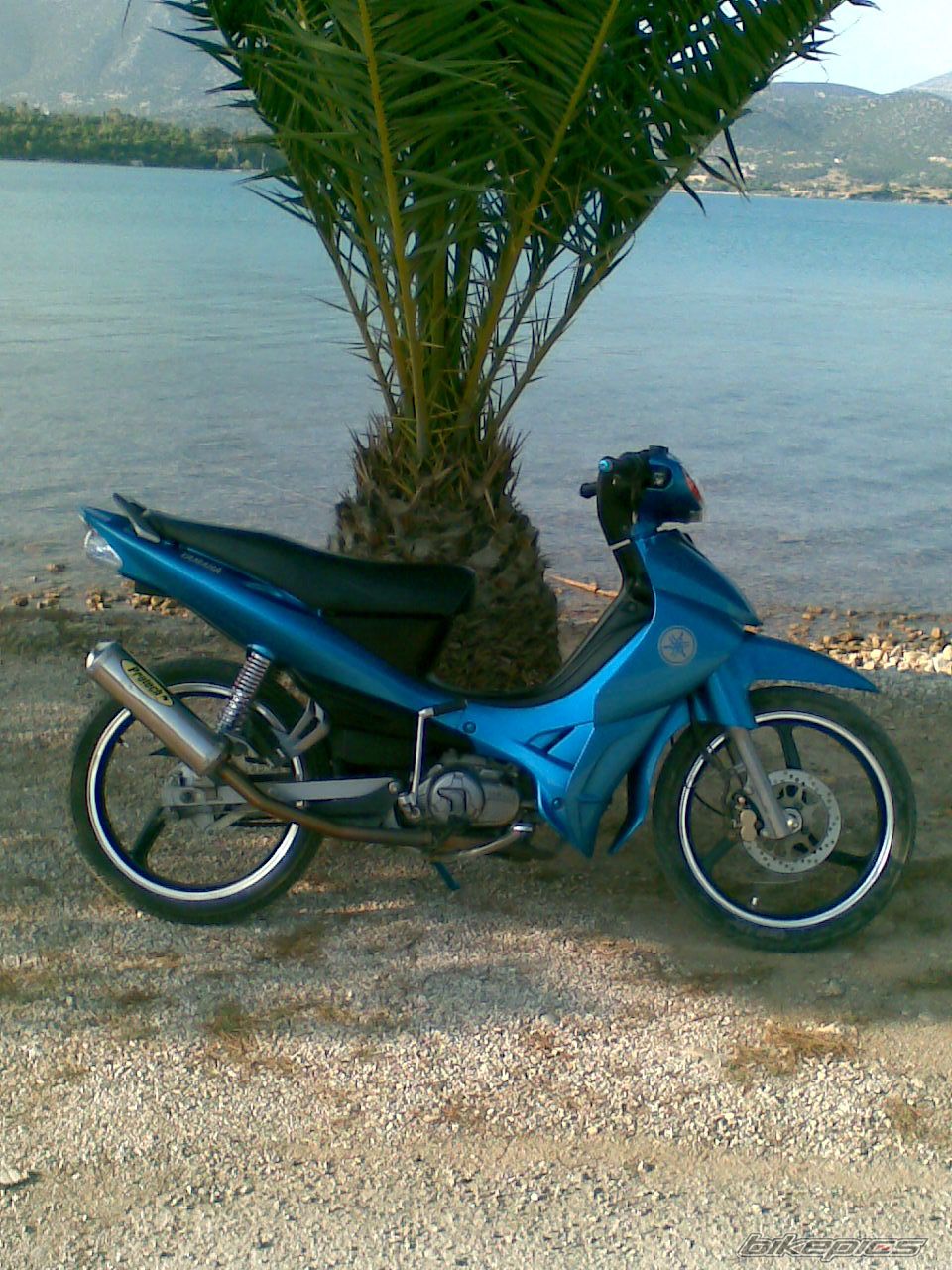 Photo 1316337