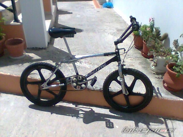 Photo 1316390