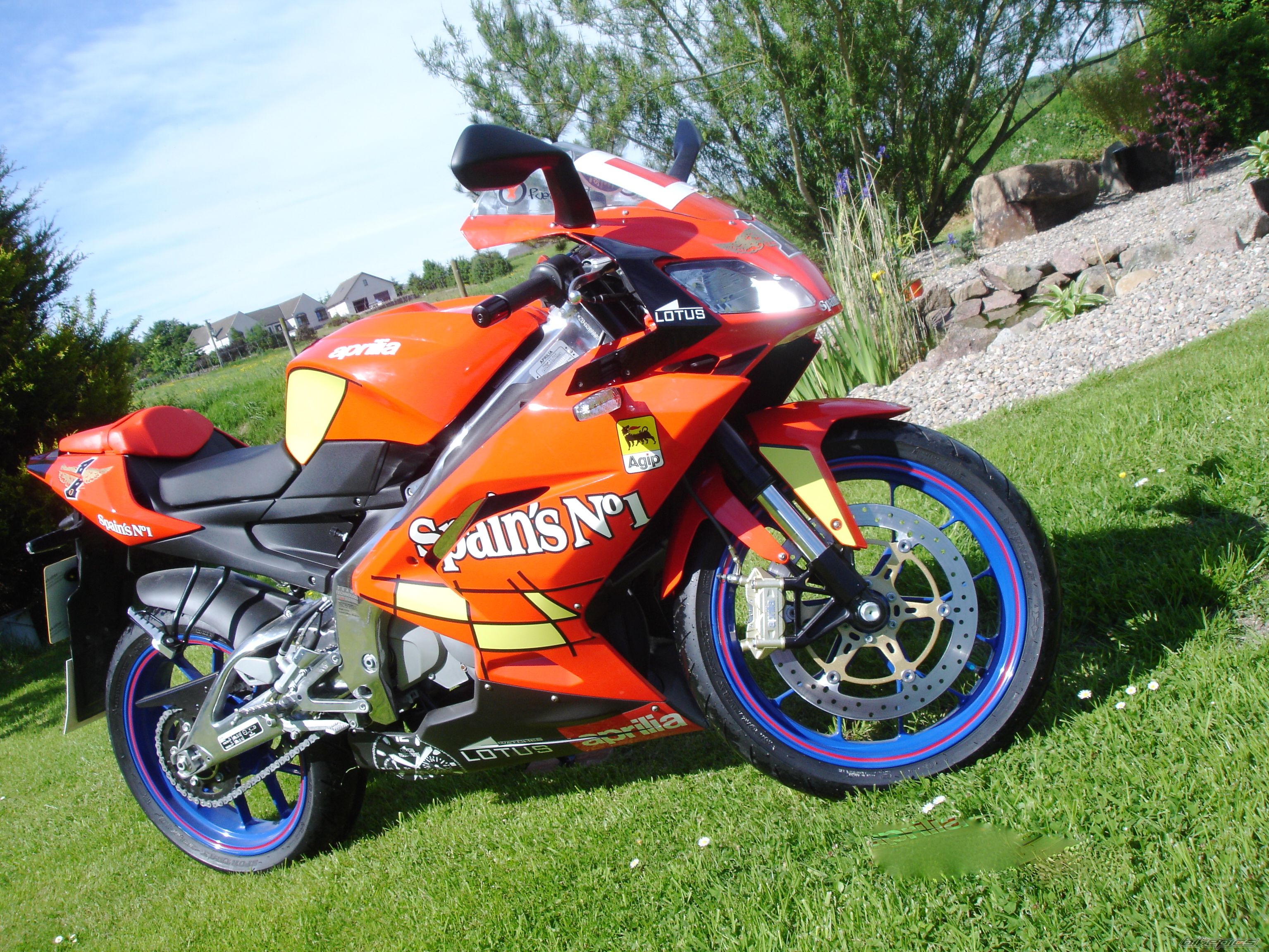 Bike Photo 1316392