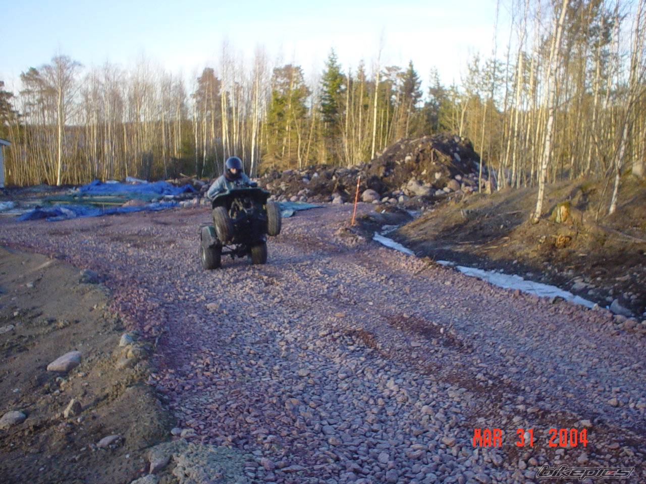 Photo 131640