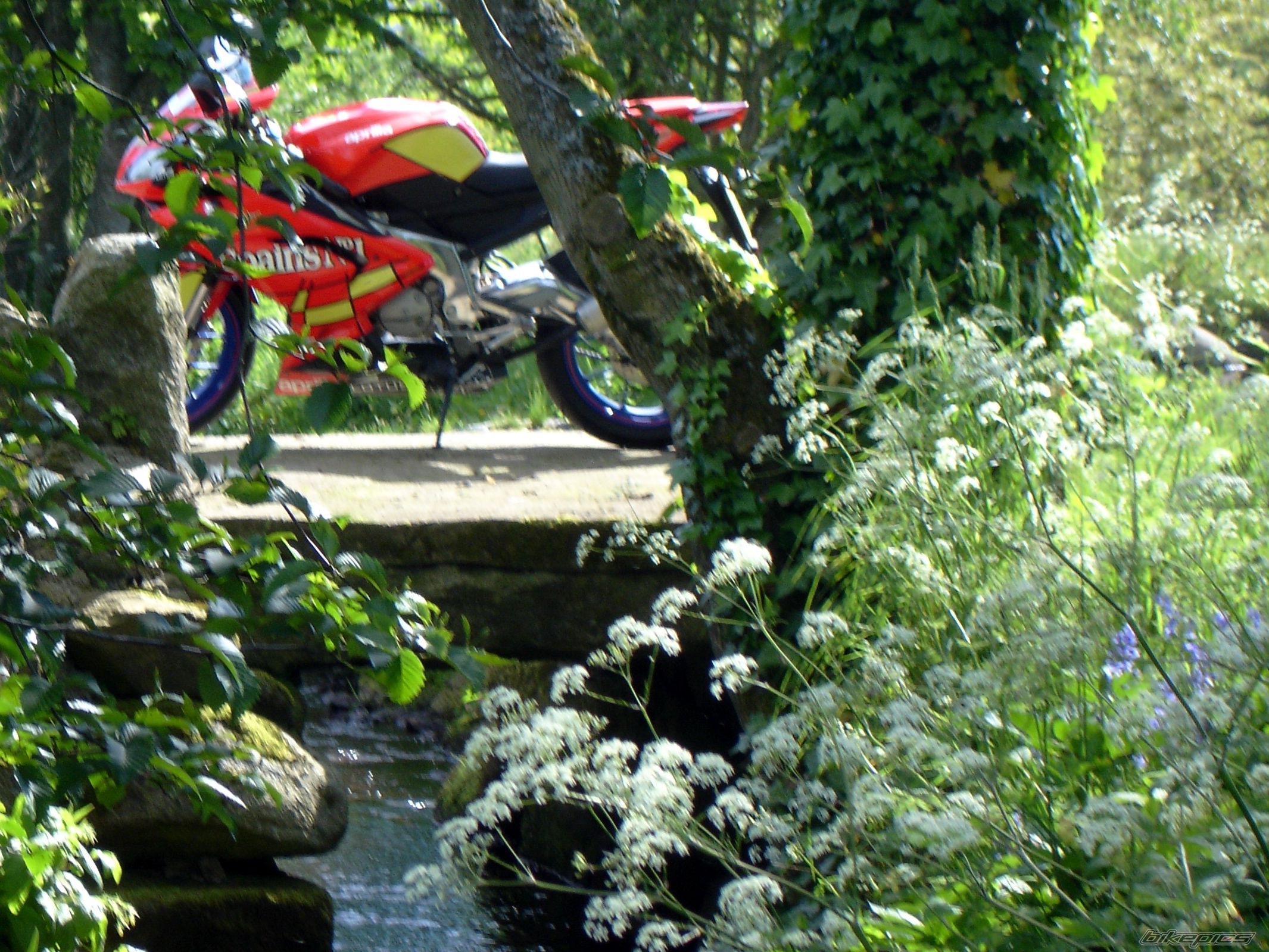 Bike Photo 1316412