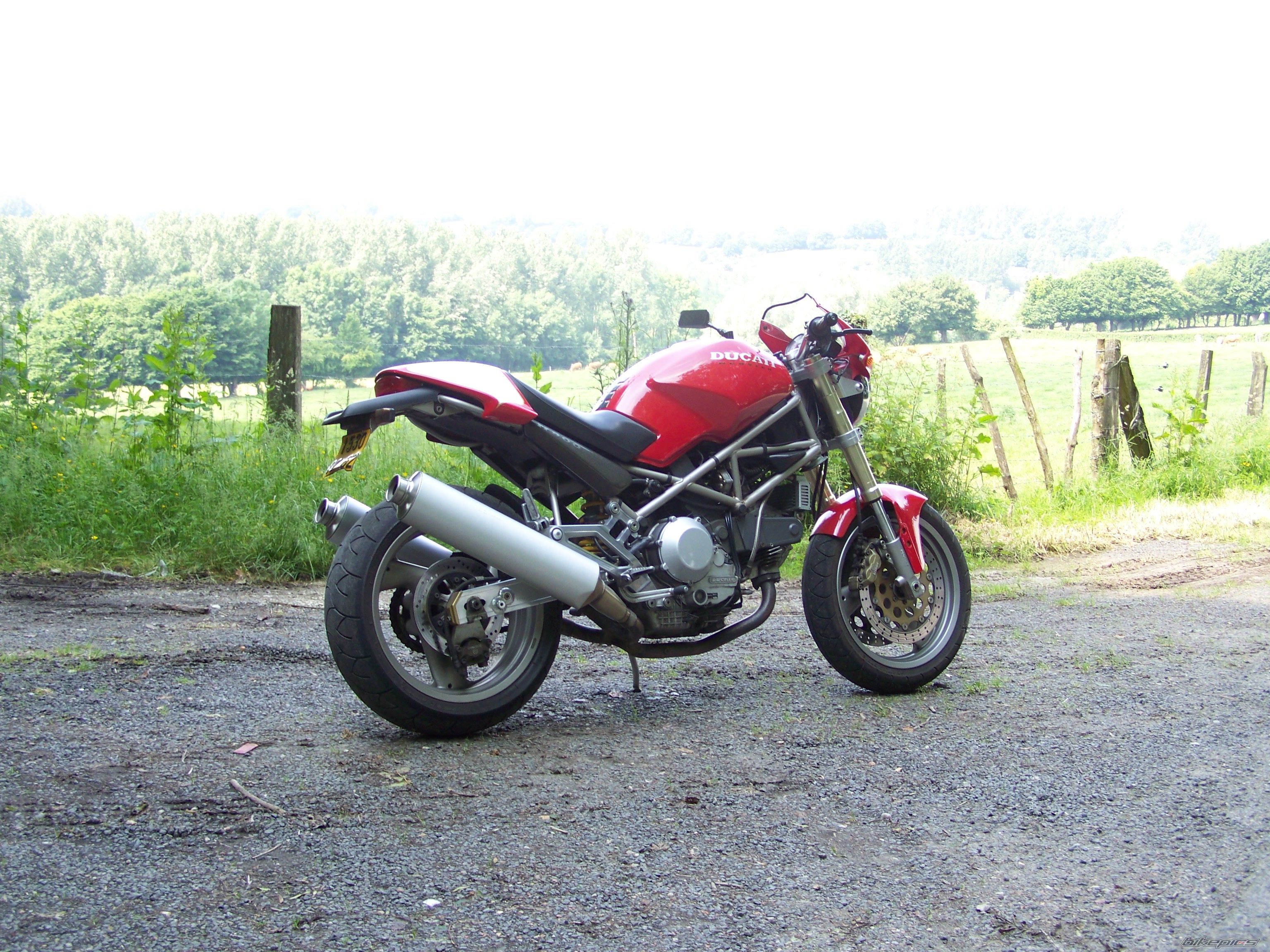 Photo 1316413