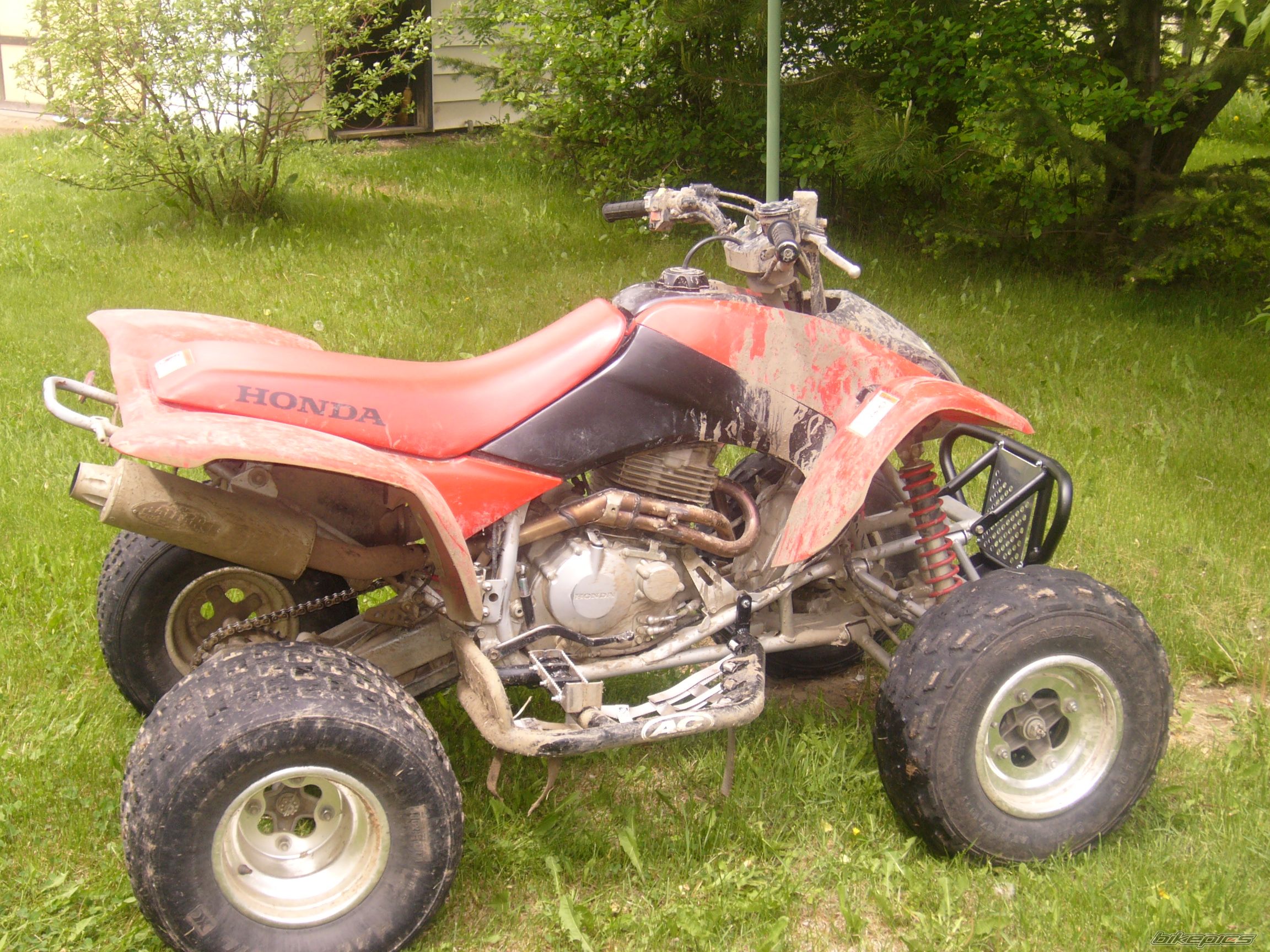 Photo 1316462