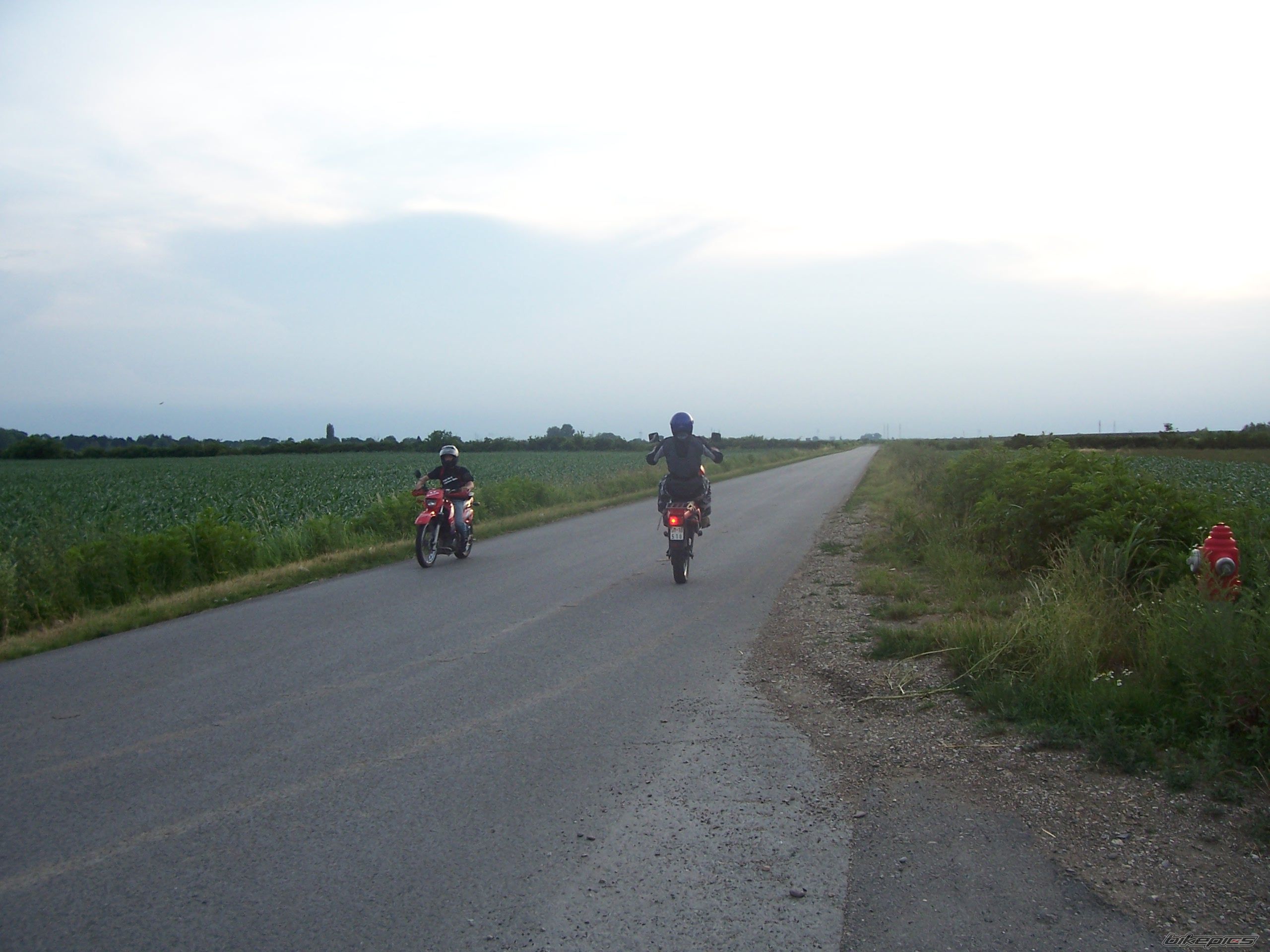 Photo 1316561