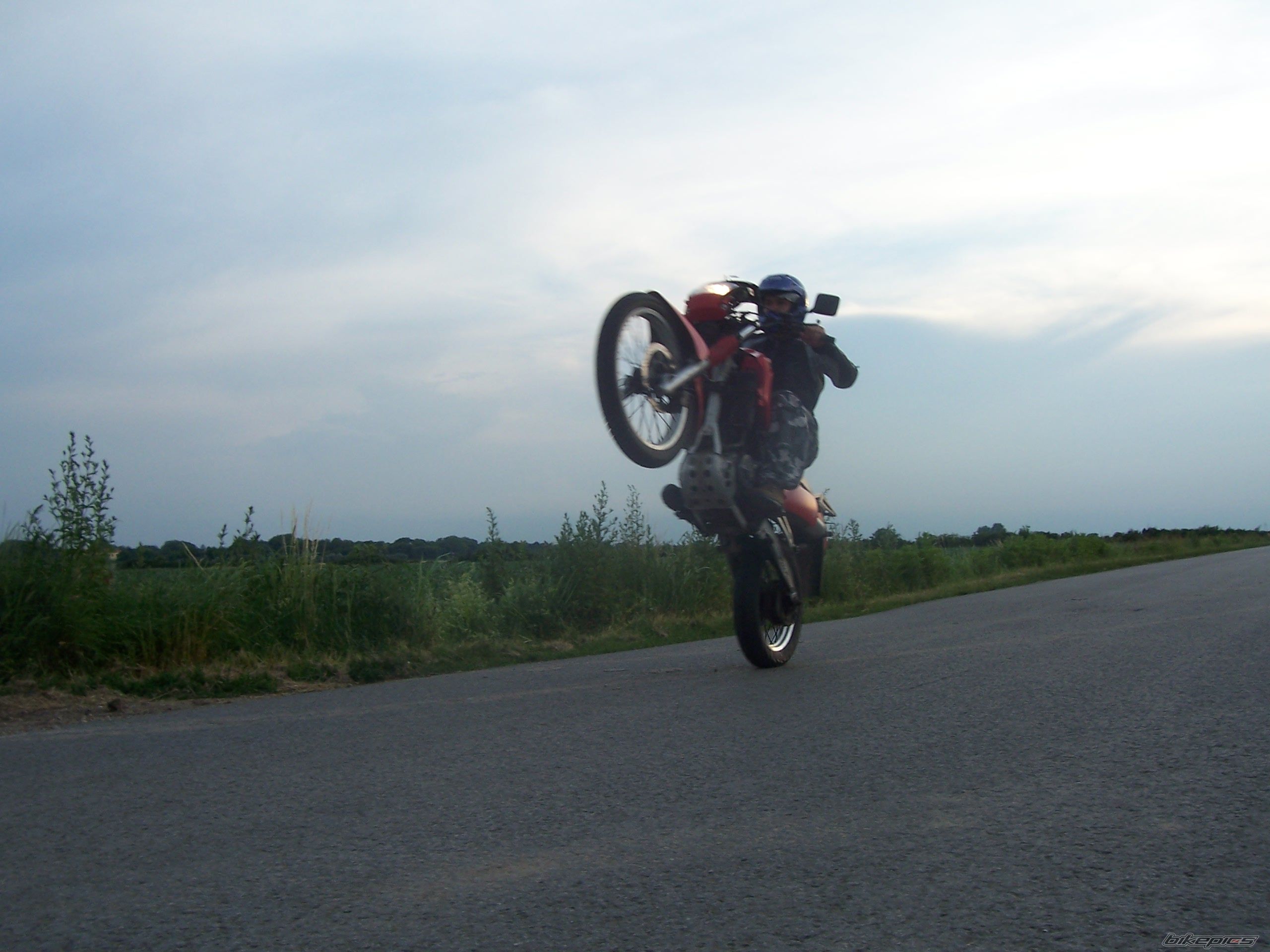 Photo 1316564