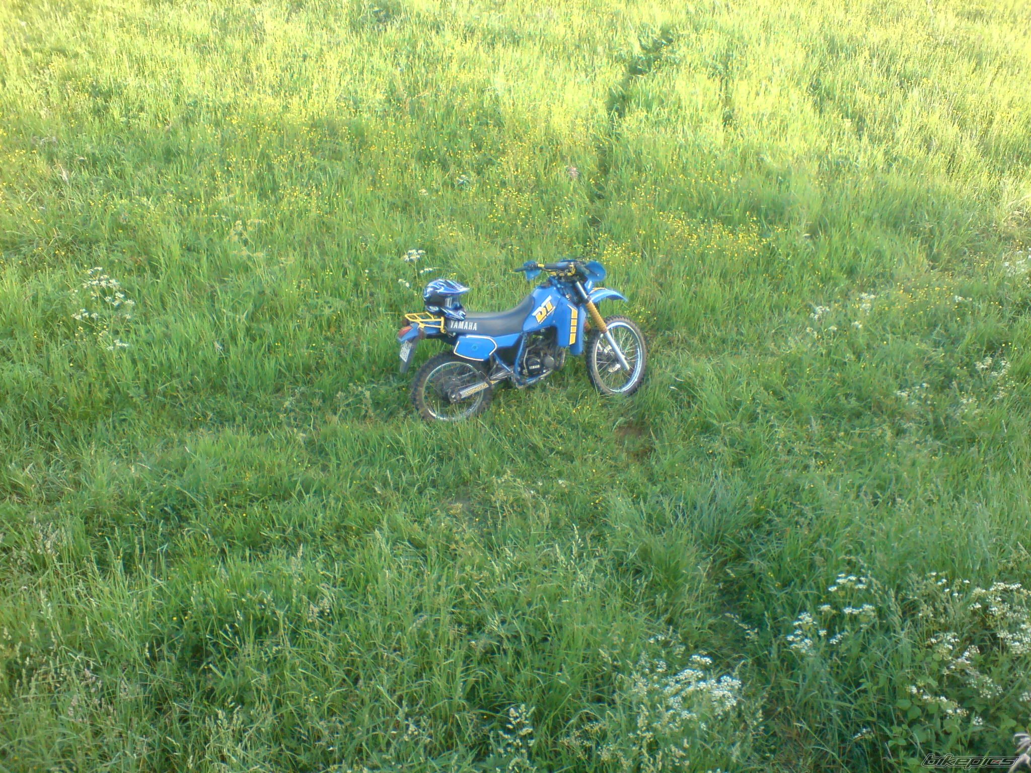Bike Photo 1316567