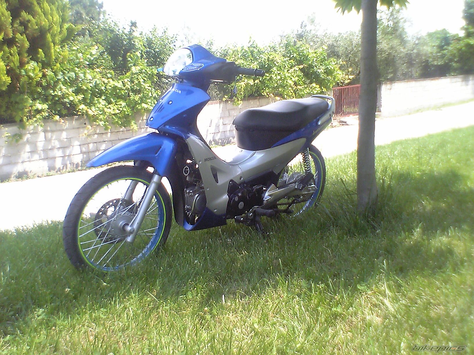 Photo 1316619