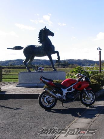 Bike Photo 1316620