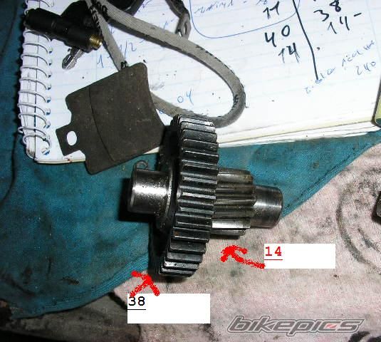 Photo 1317029