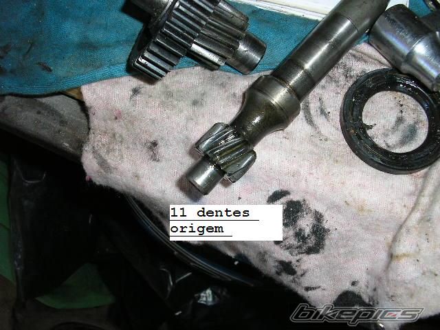 Photo 1317031