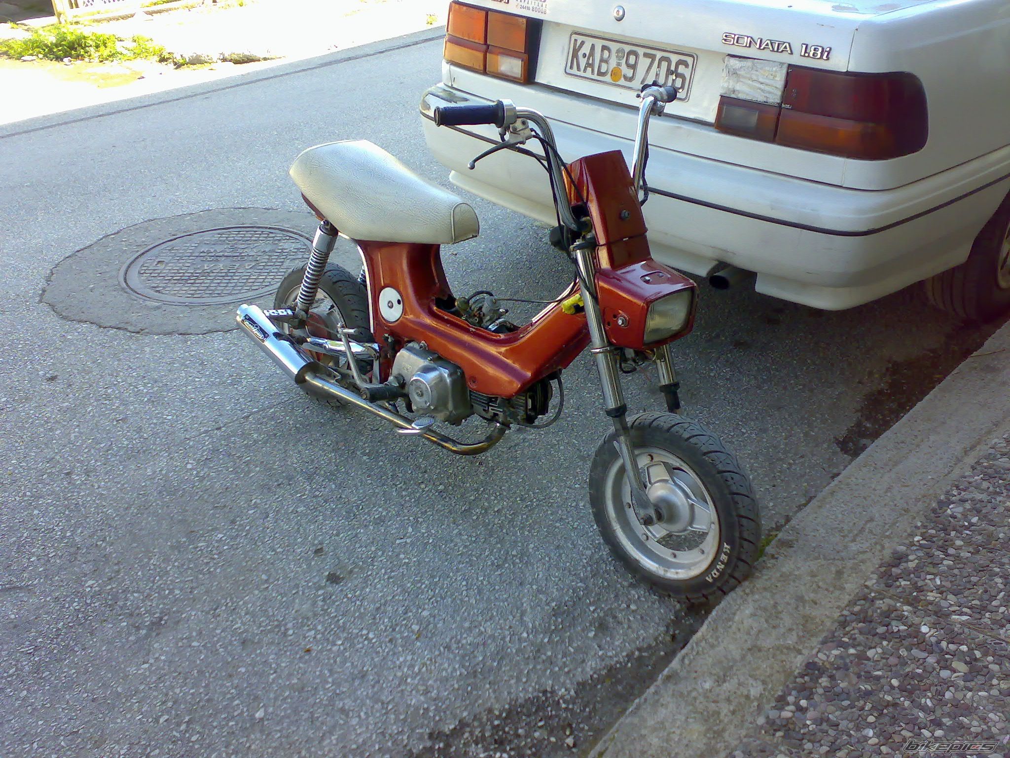 Photo 1317055
