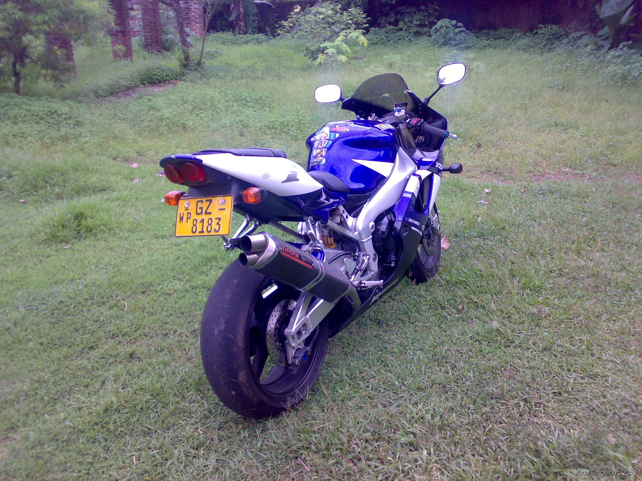 Photo 1317098