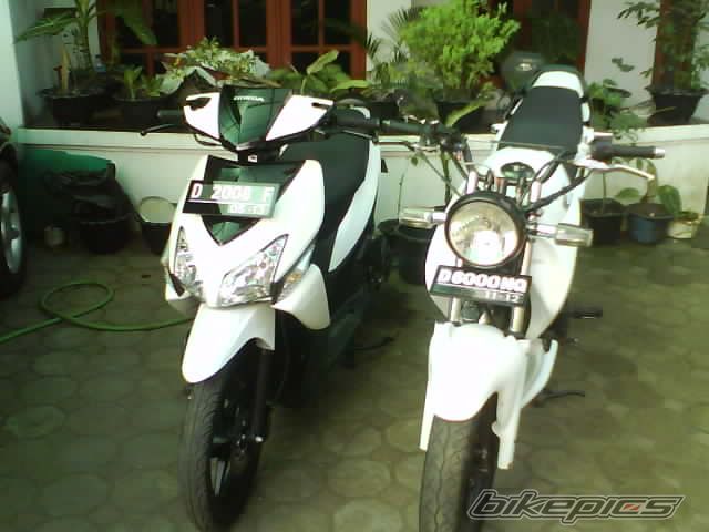 Photo 1317212