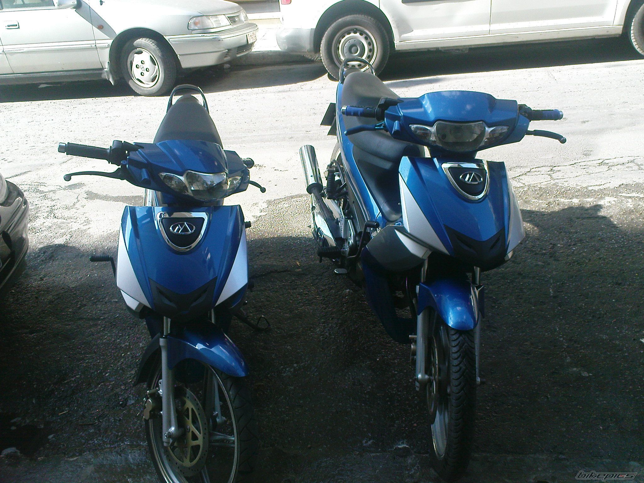 Photo 1317232