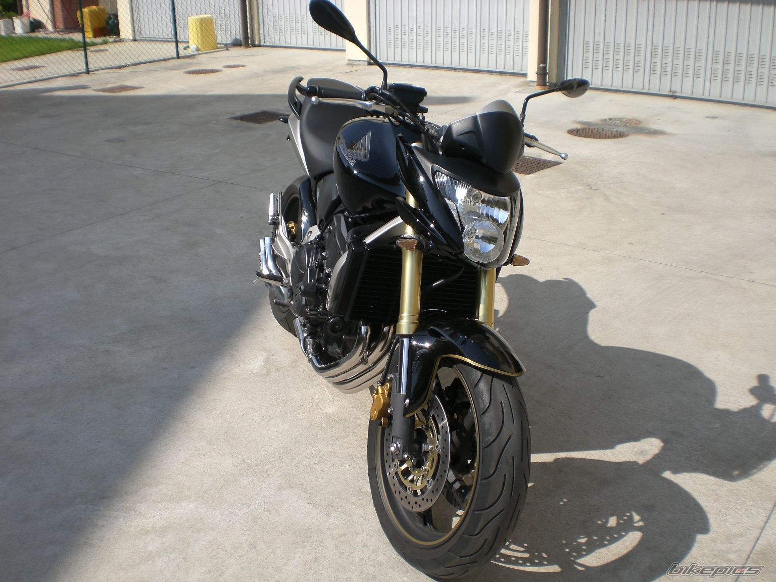 Photo 1317233