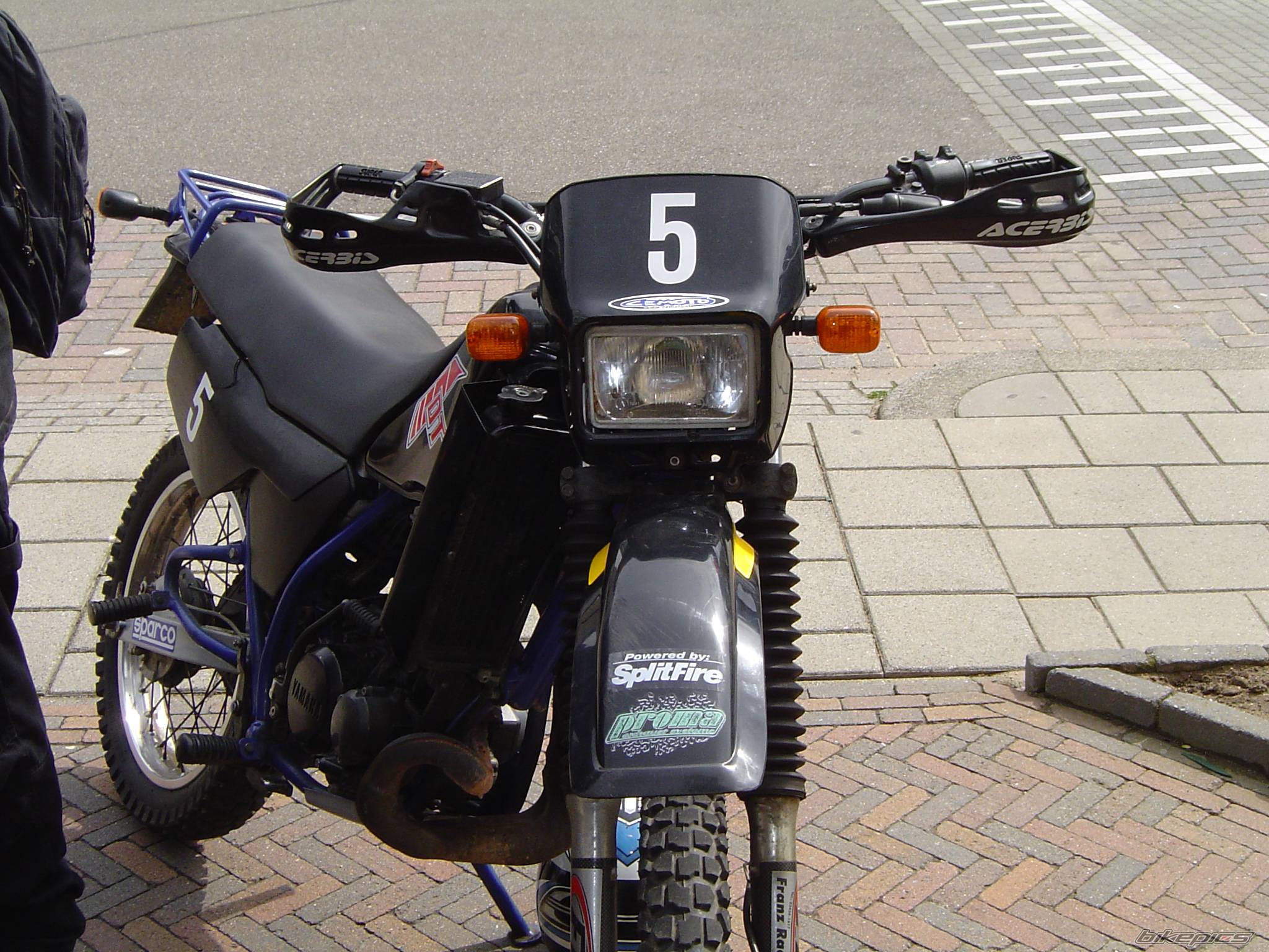 Photo 131724