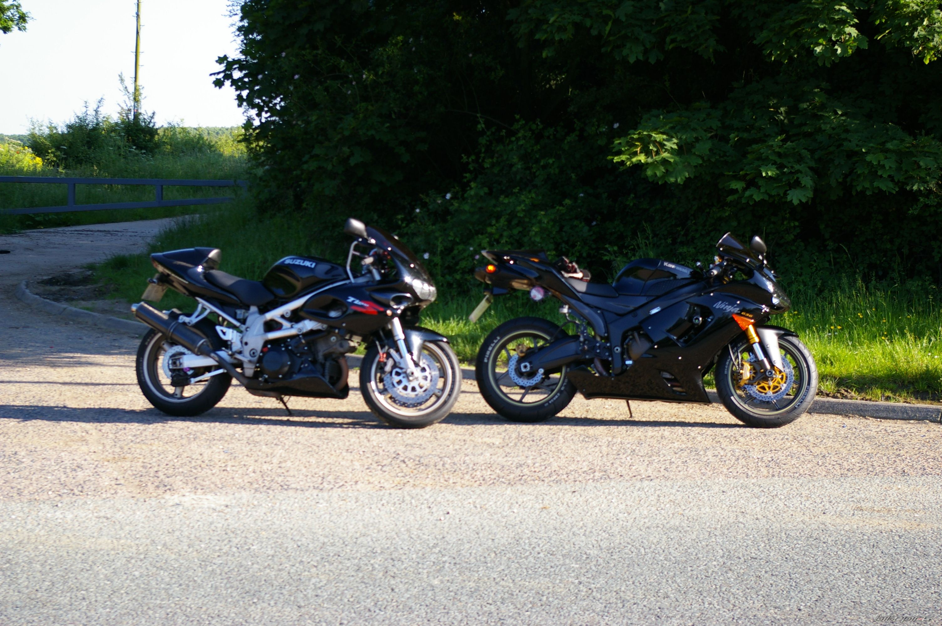 Photo 1317243