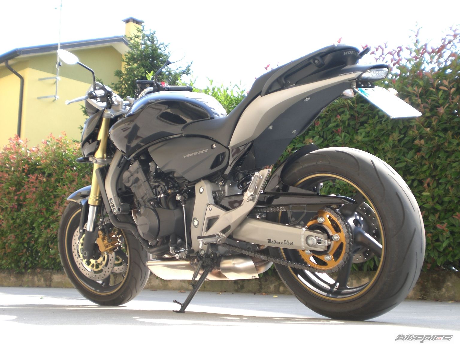 Photo 1317259