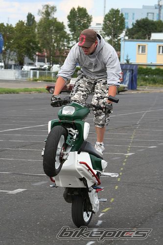 Photo 1317311