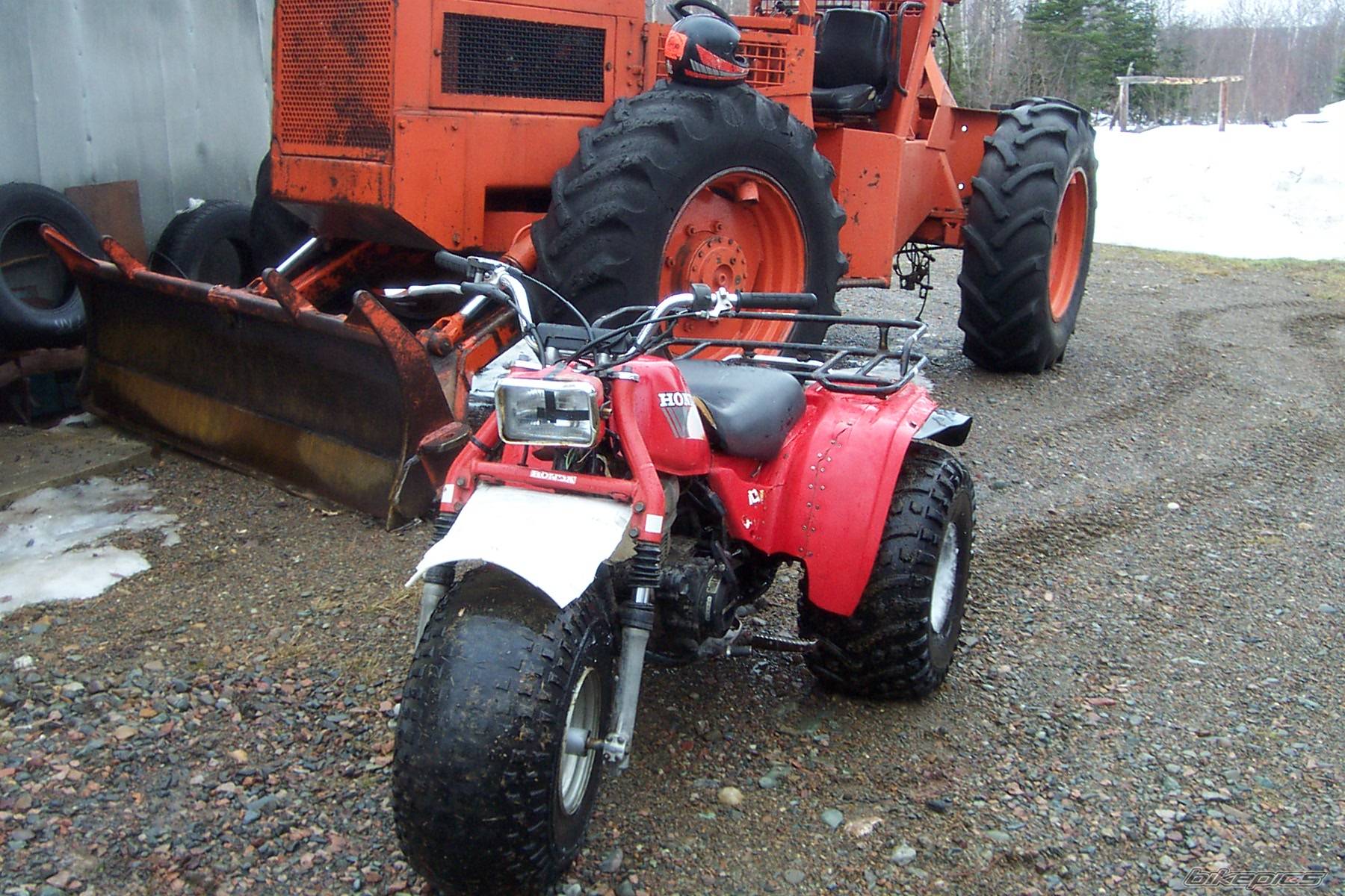 Photo 131732