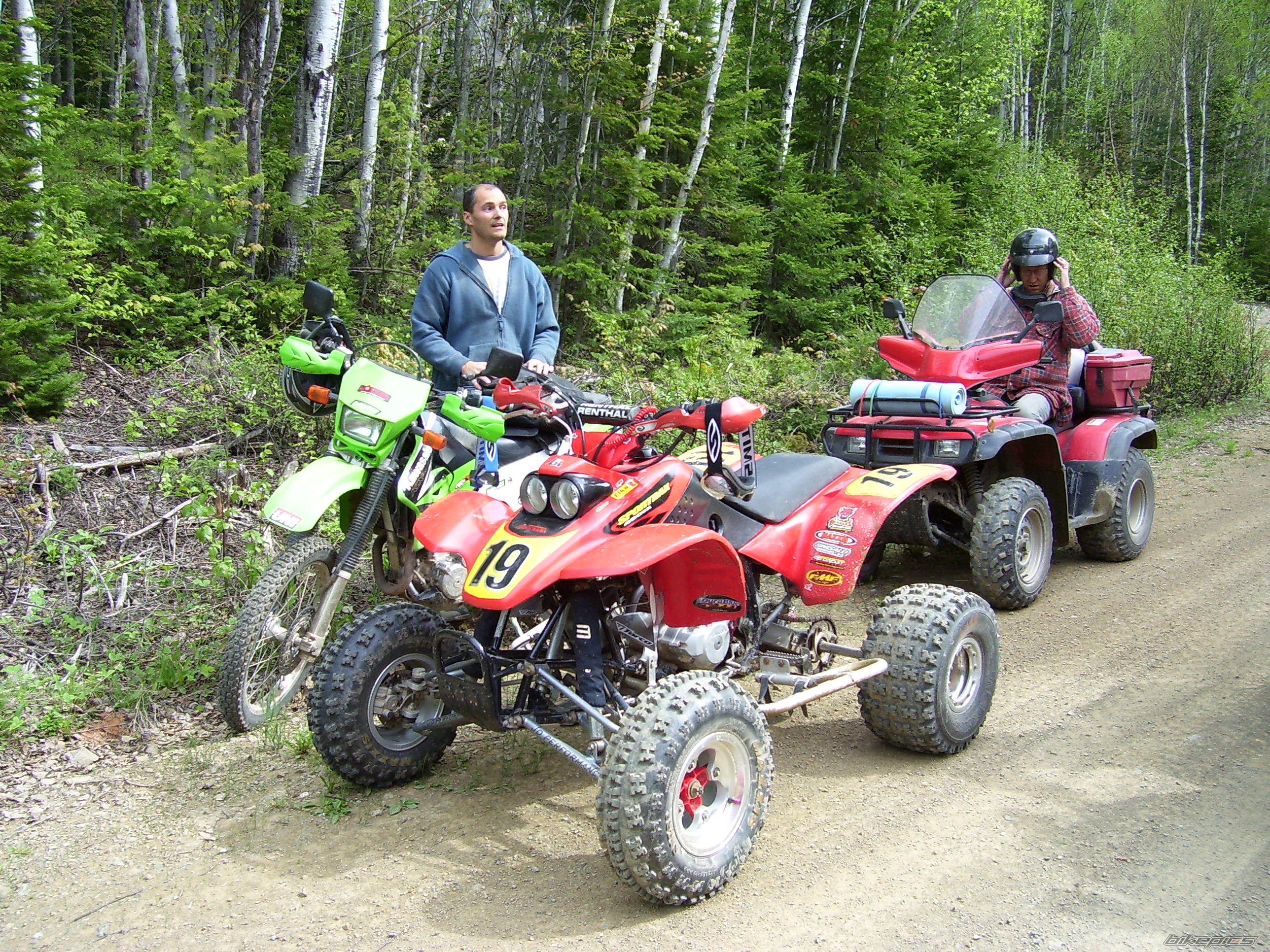 Photo 1317324