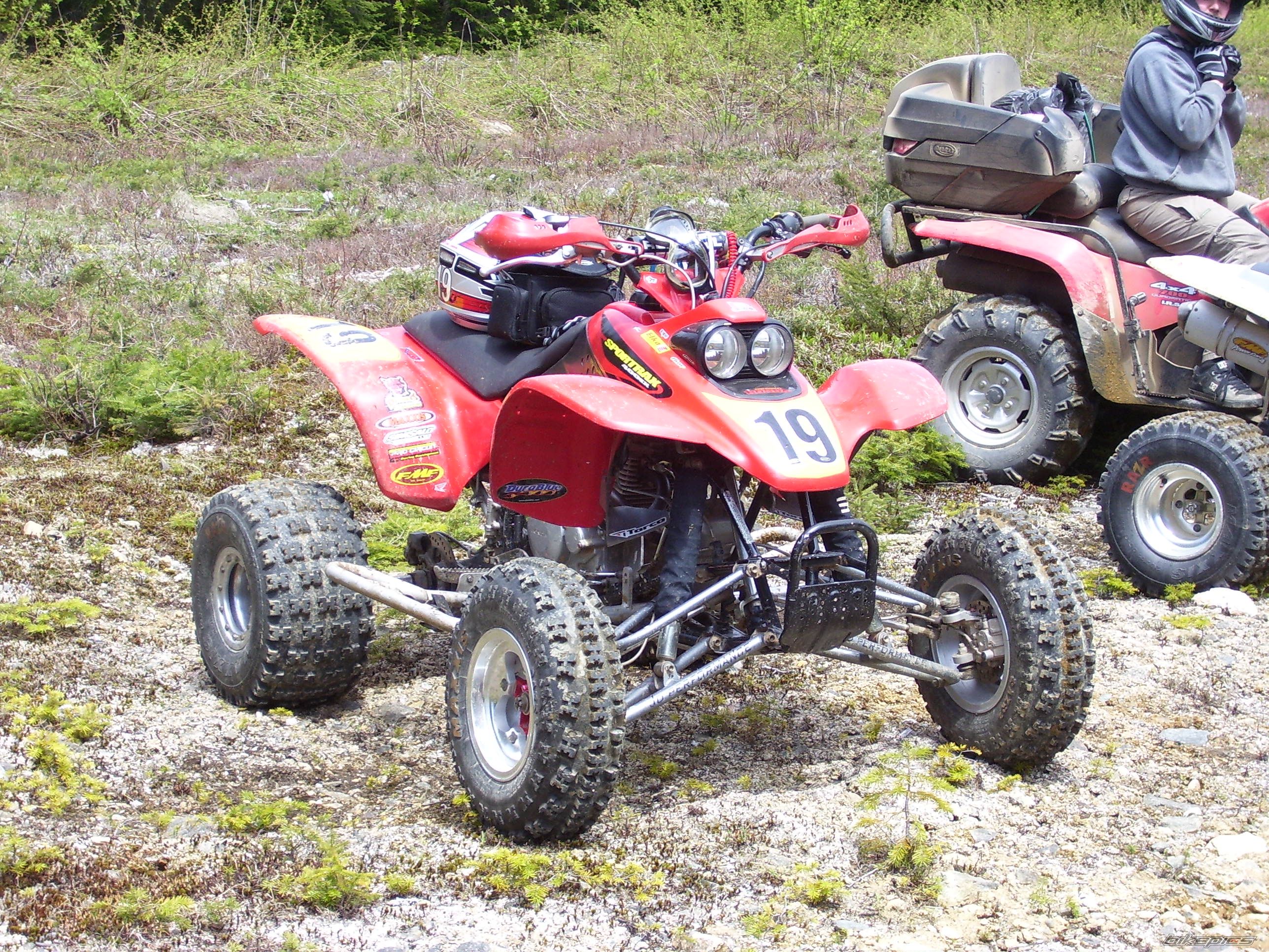 Photo 1317327
