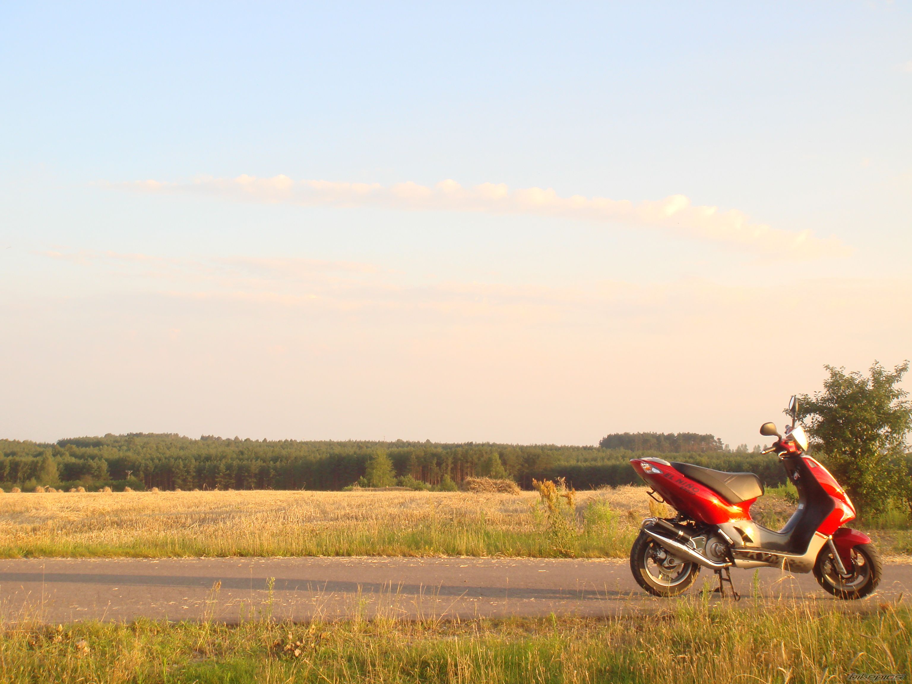 Photo 1317349