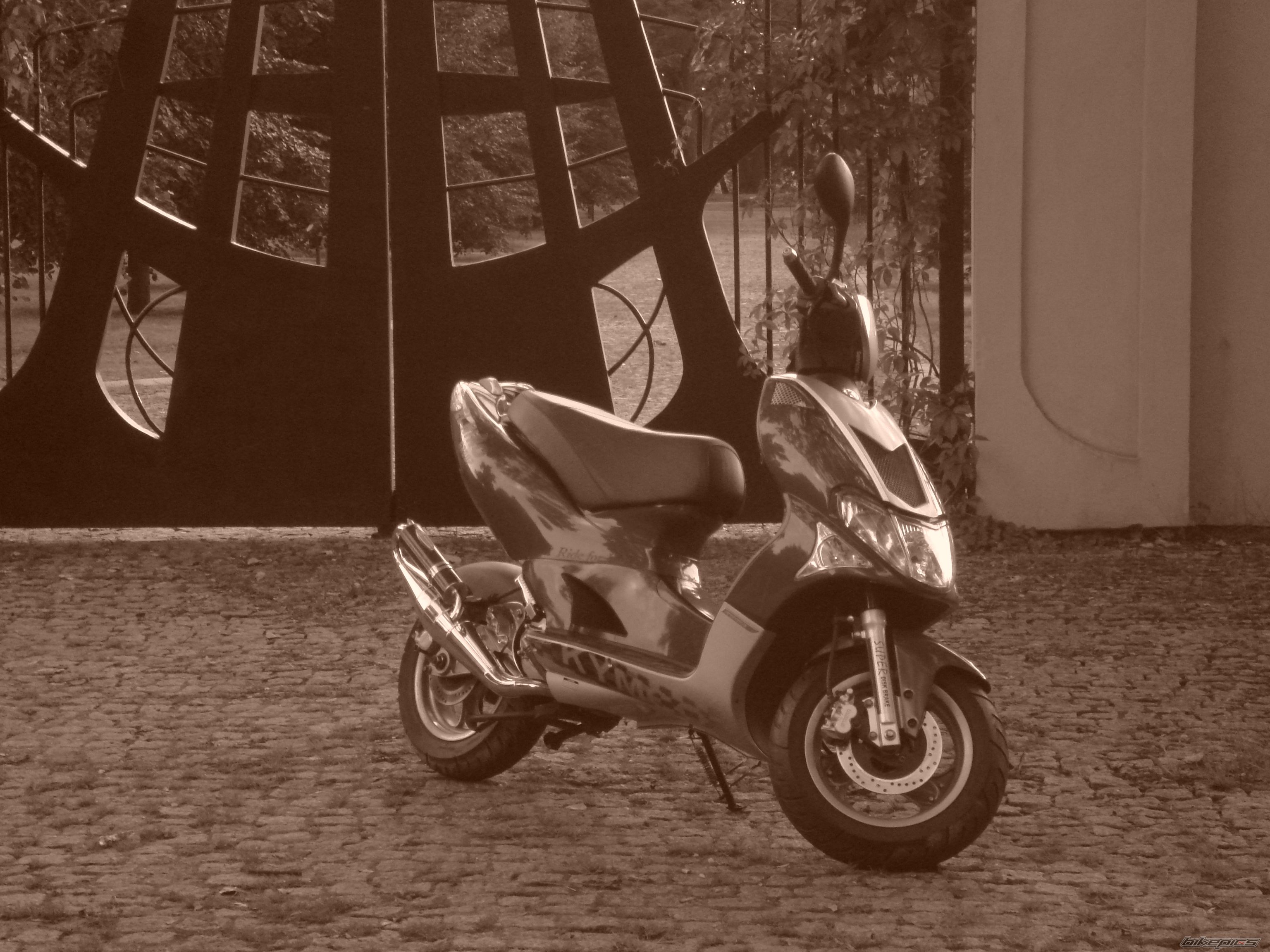 Photo 1317363