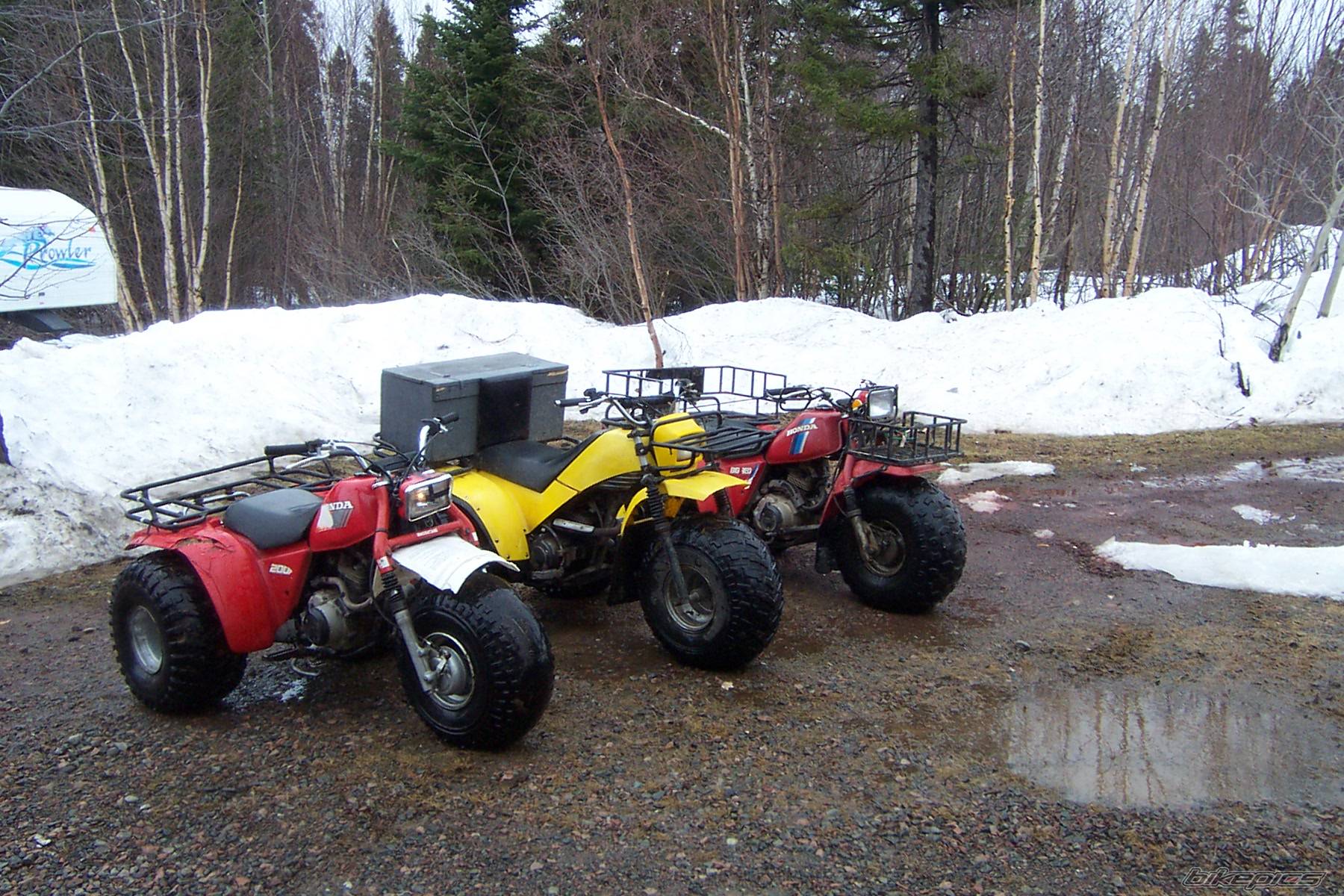 Photo 131739