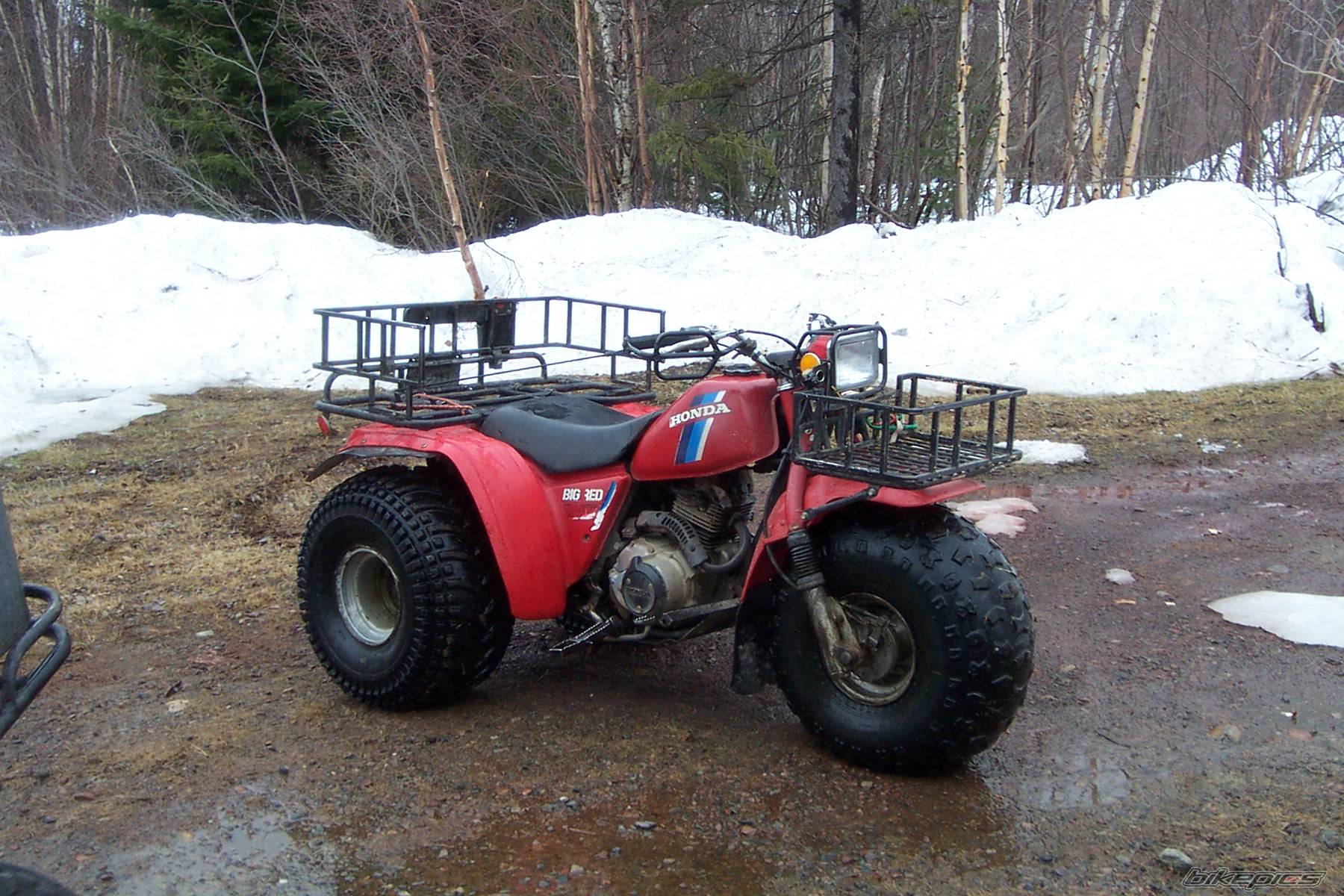 Photo 131742