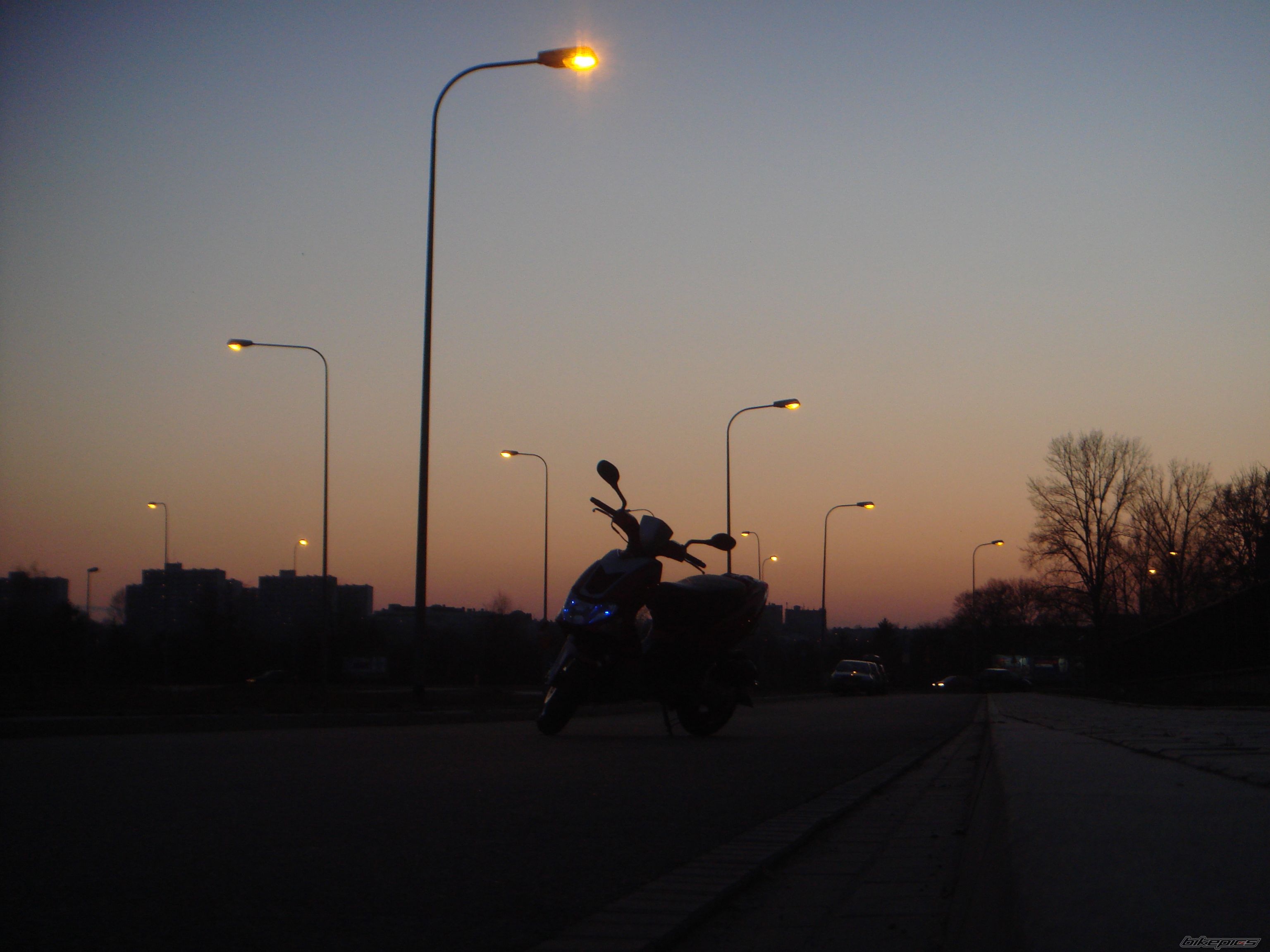 Photo 1317431