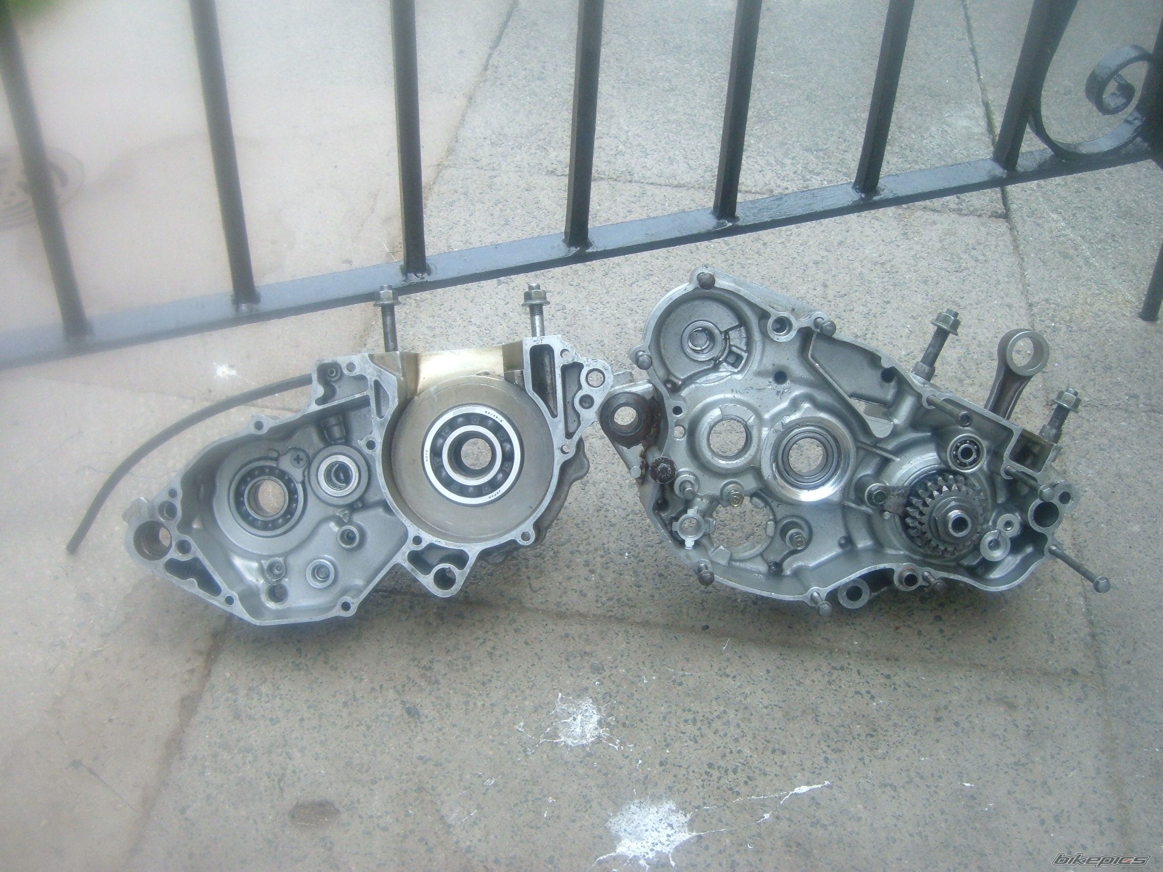 Photo 1317505