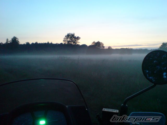 Photo 1317557