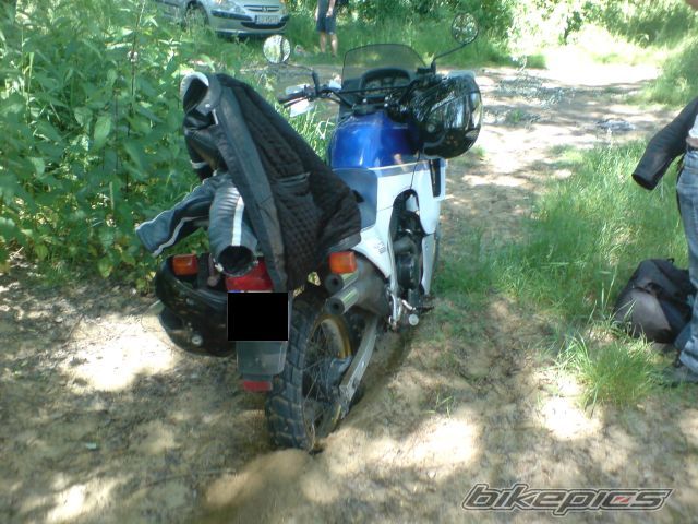 Photo 1317558