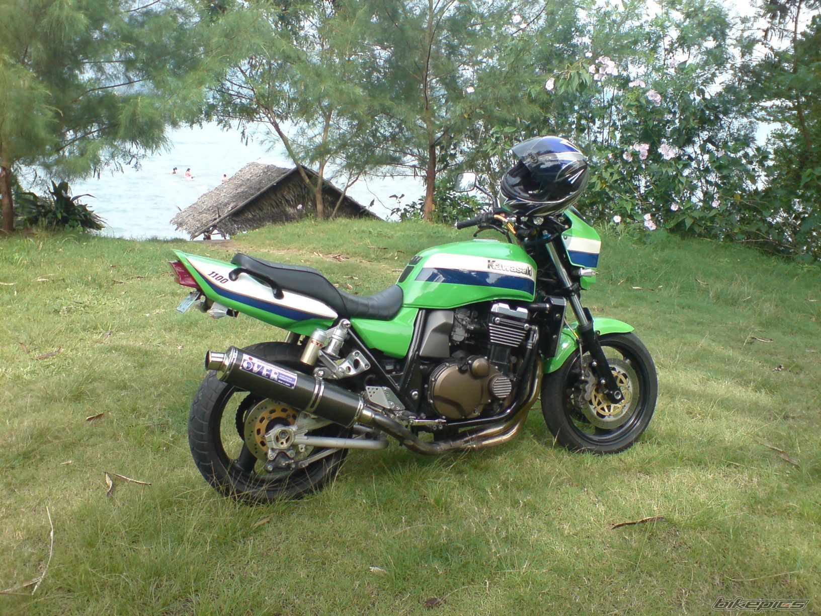 Photo 1317601
