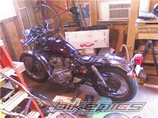 Photo 1317671