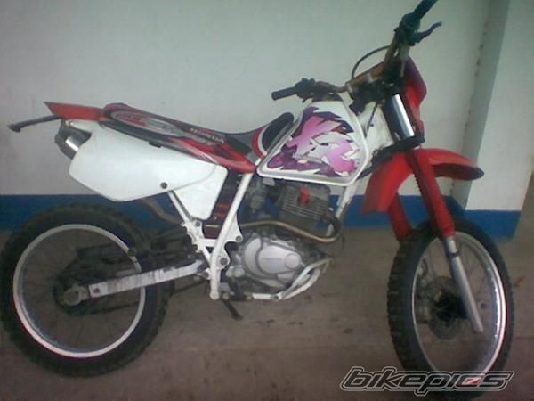 Photo 1317684