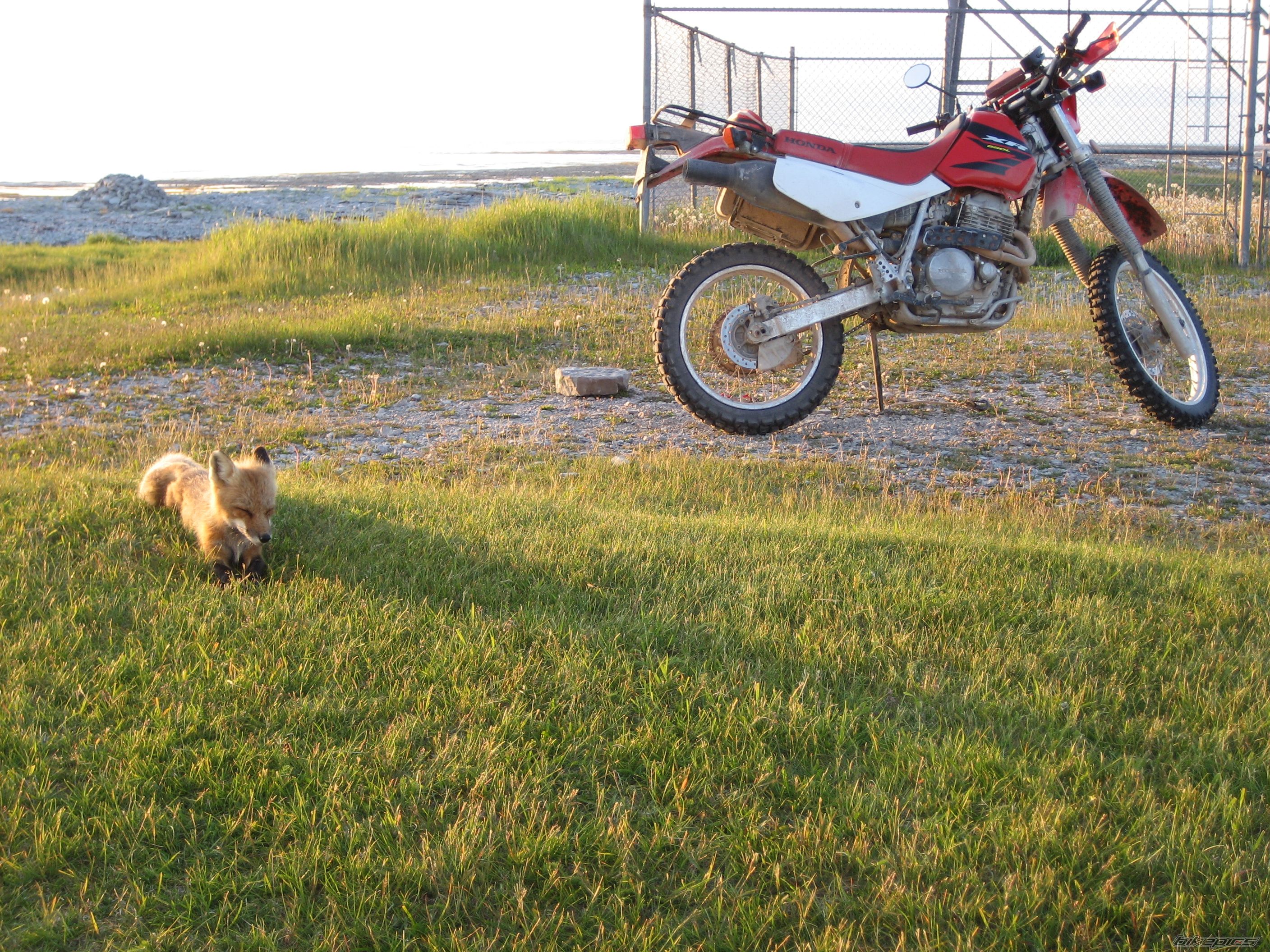 Photo 1317694