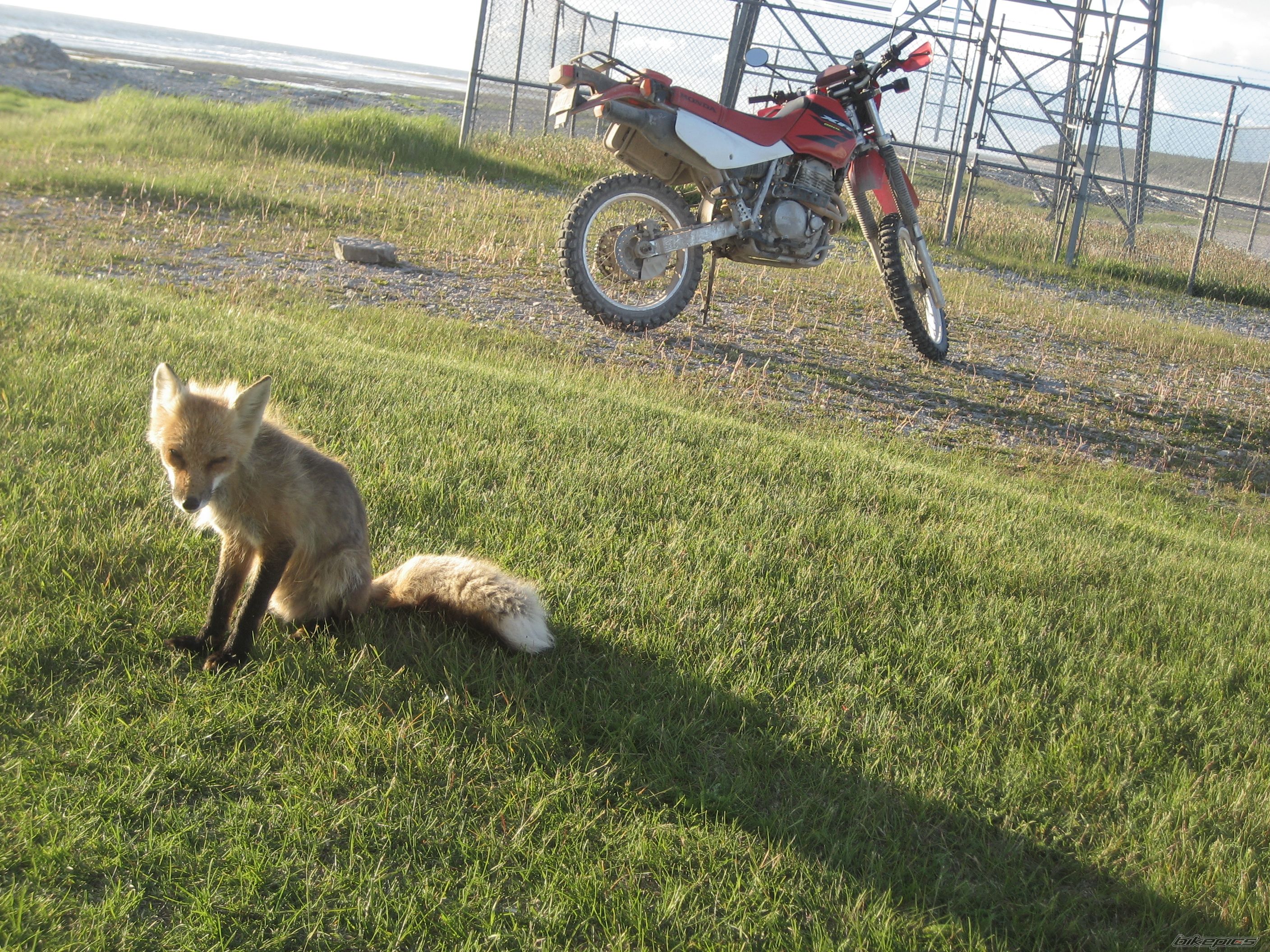 Photo 1317703