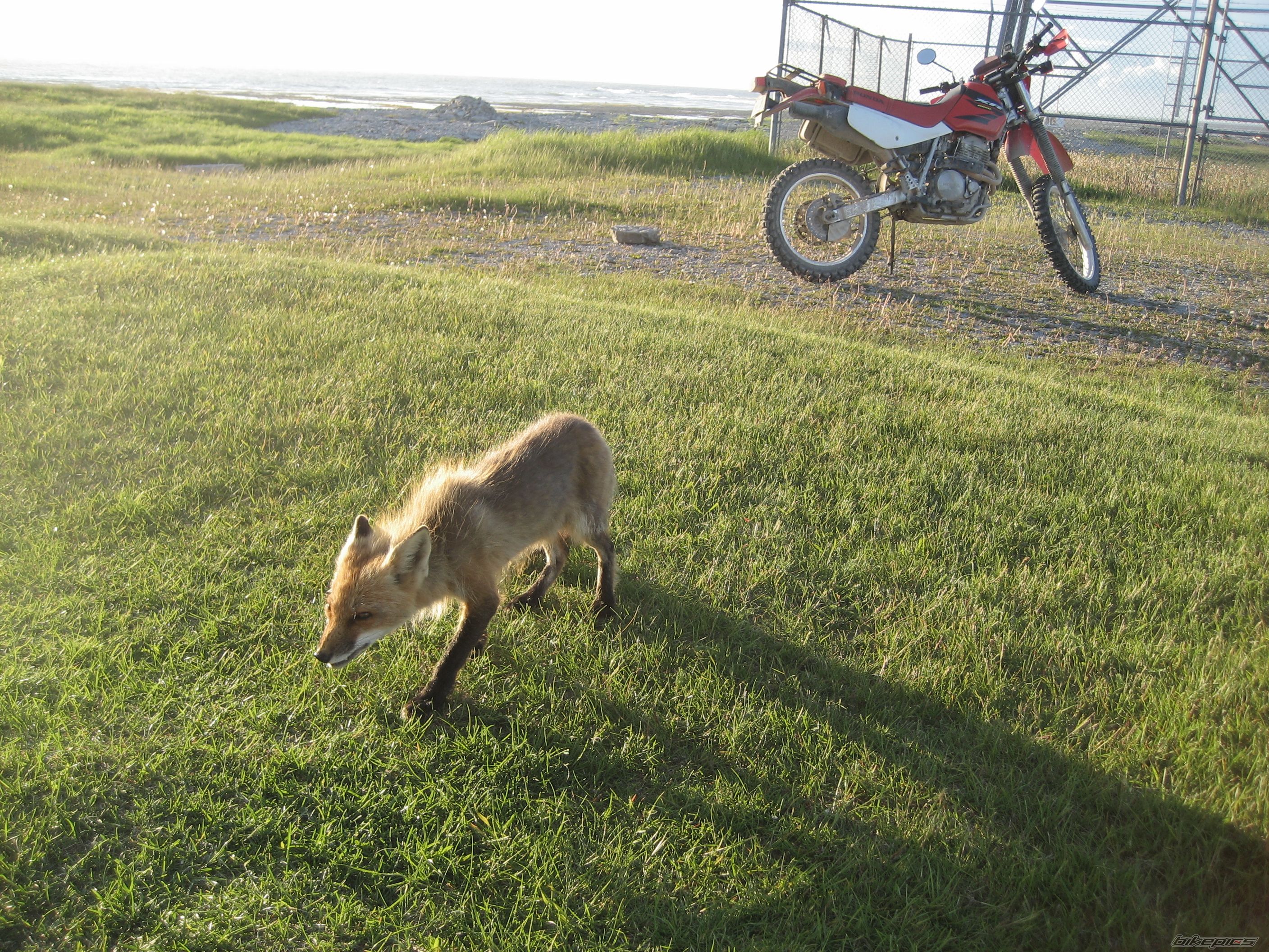 Photo 1317707