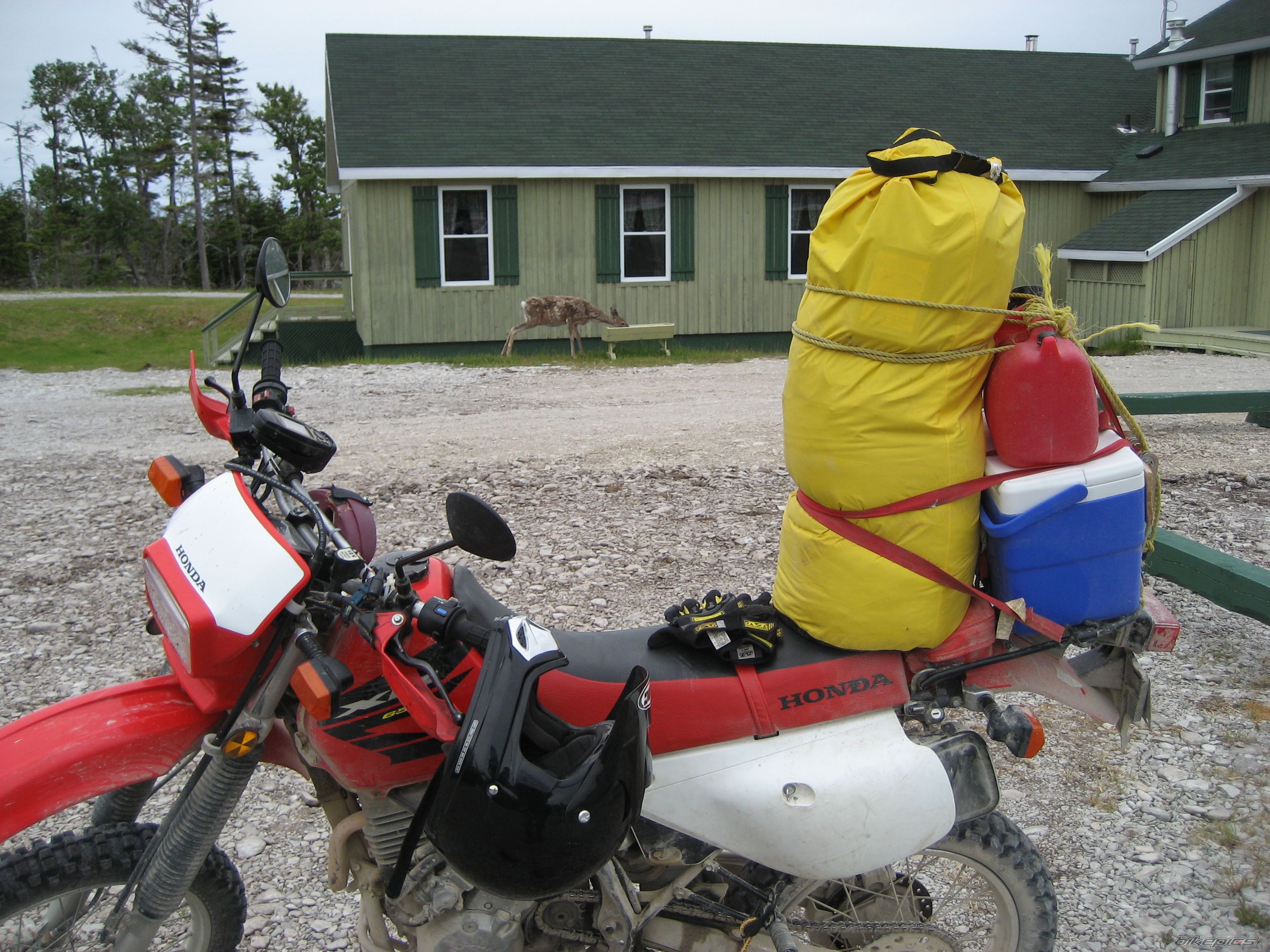 Photo 1317712