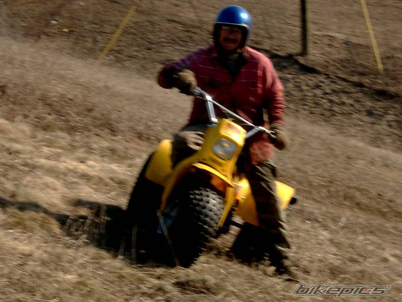 Photo 131772