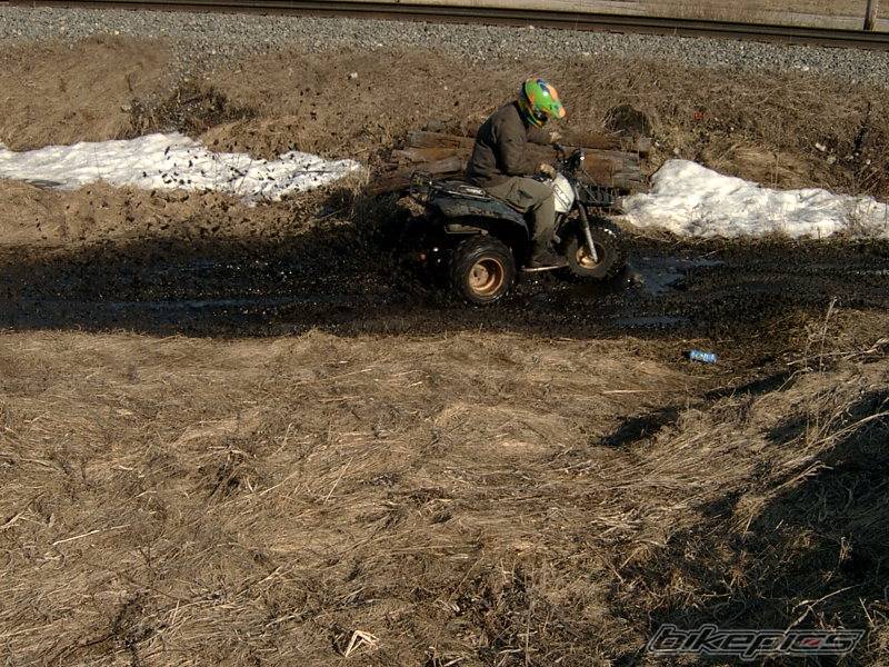 Photo 131773