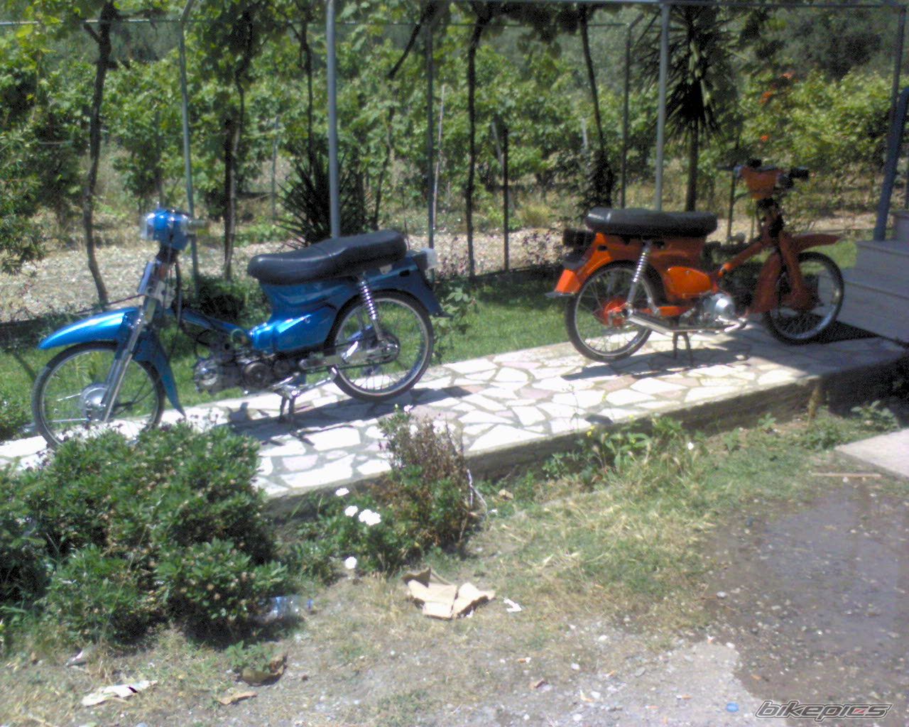 Bike Photo 1317833
