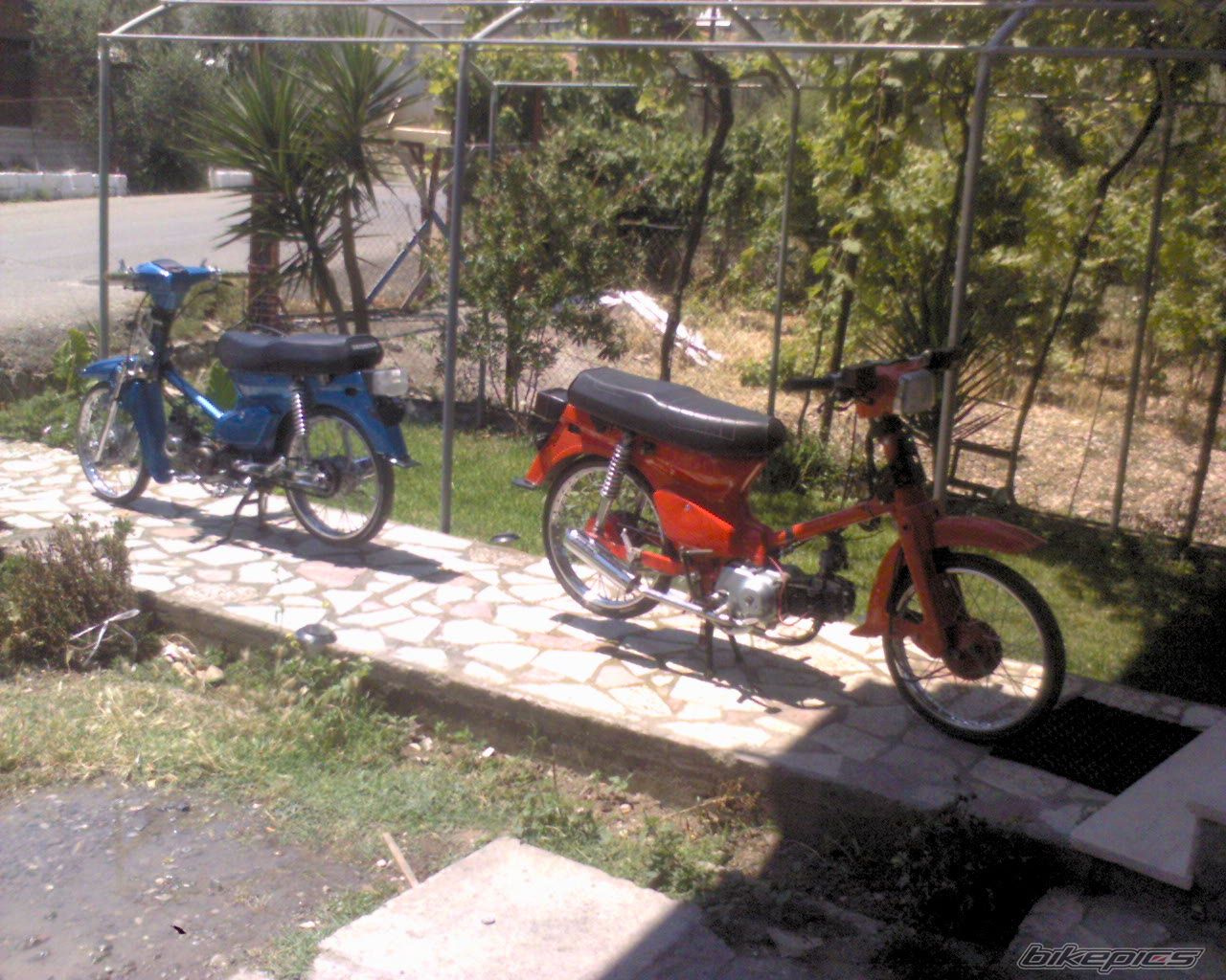 Bike Photo 1317834