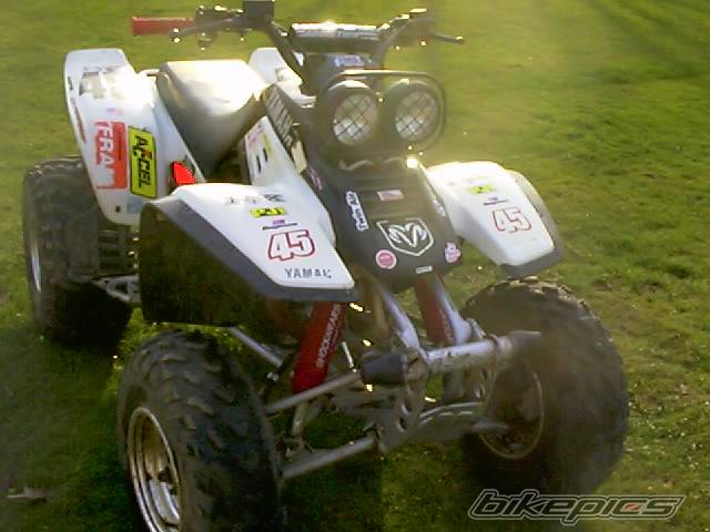 Photo 131787