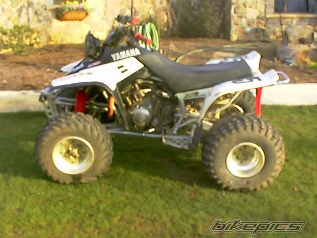 Photo 131788