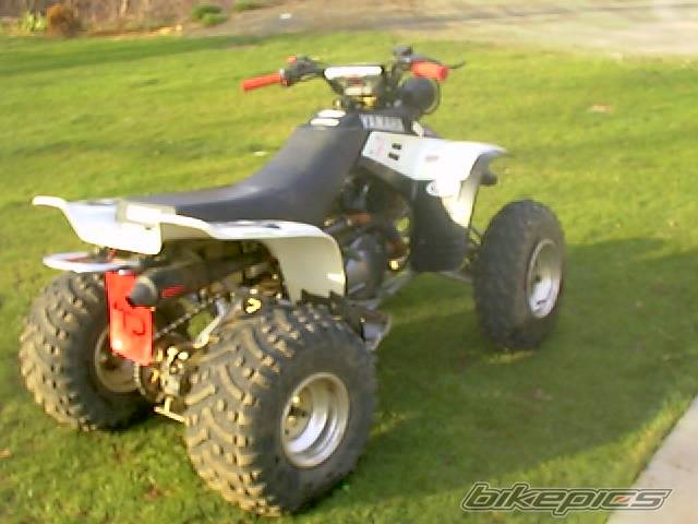 Photo 131789